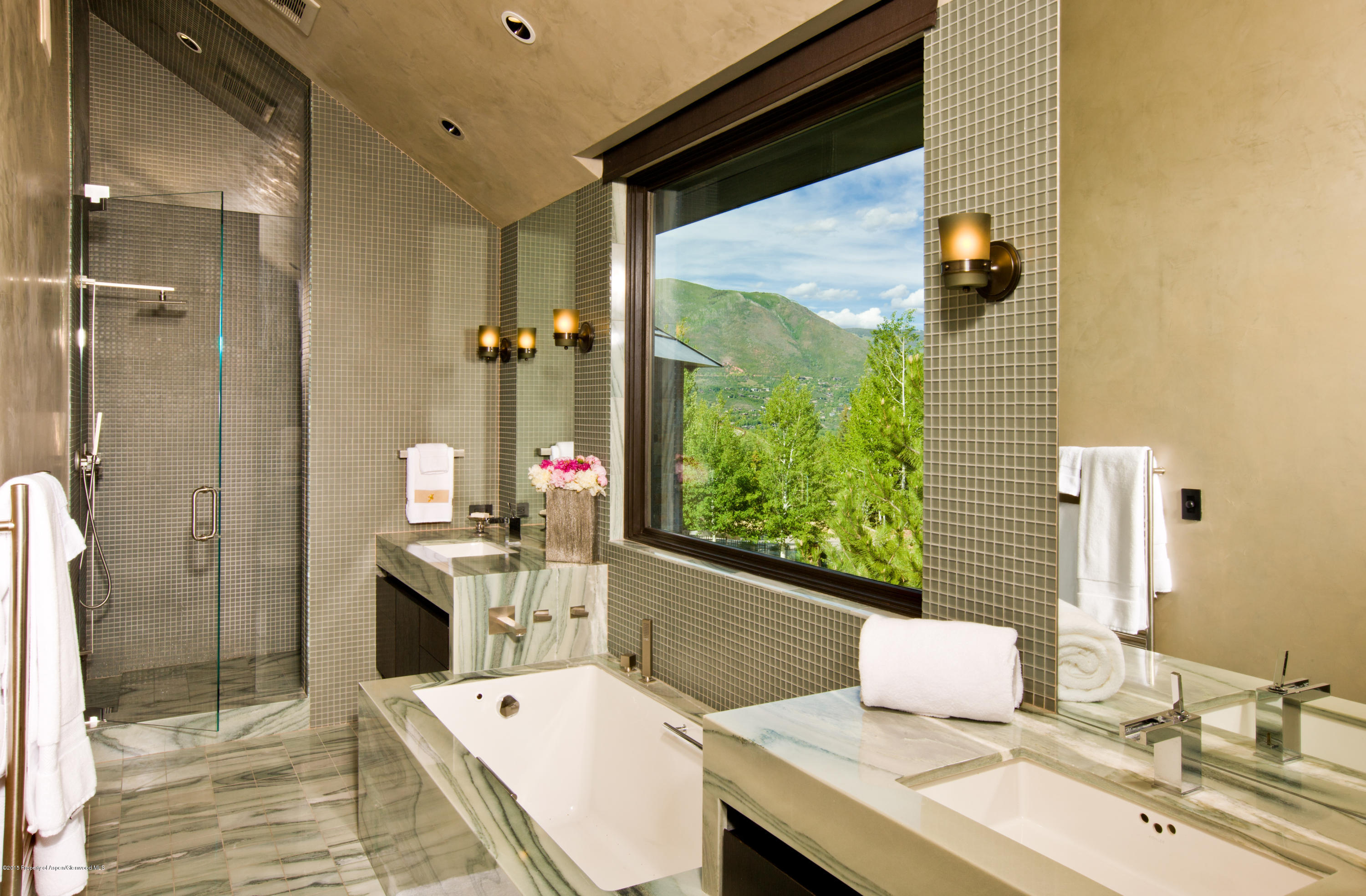 196 Pfister Drive Aspen CO 81611