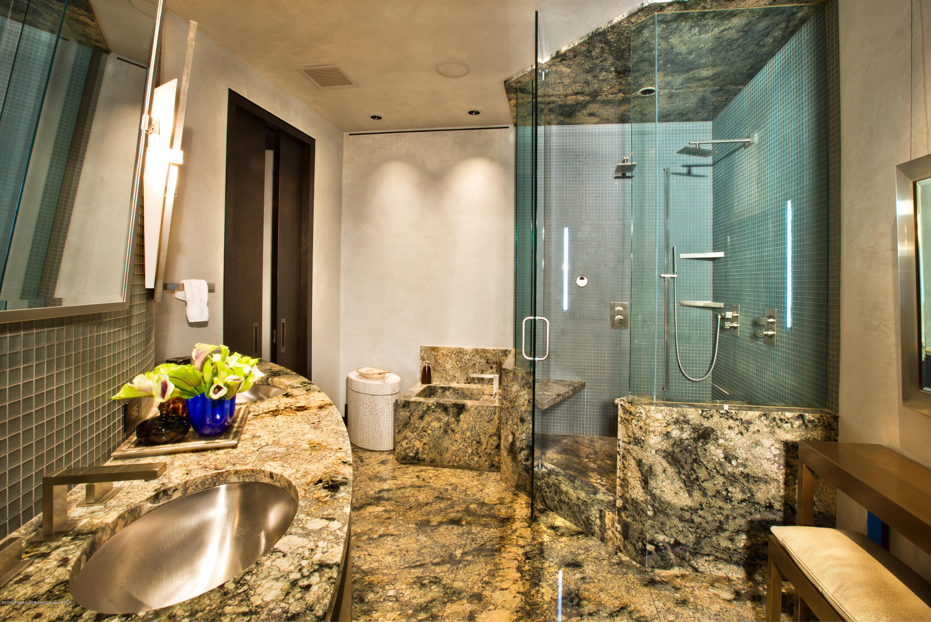 196 Pfister Drive Aspen CO 81611