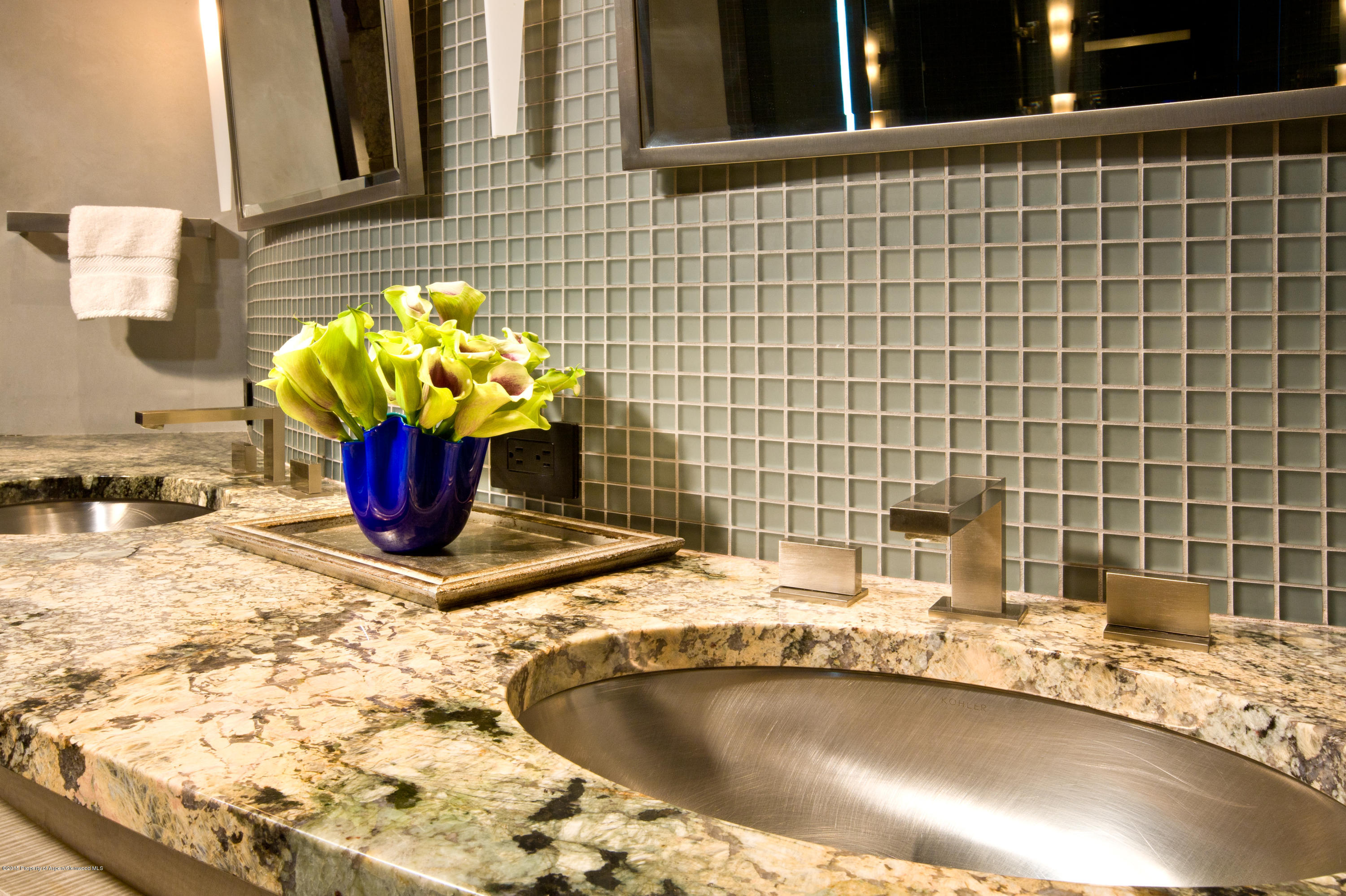 196 Pfister Drive Aspen CO 81611