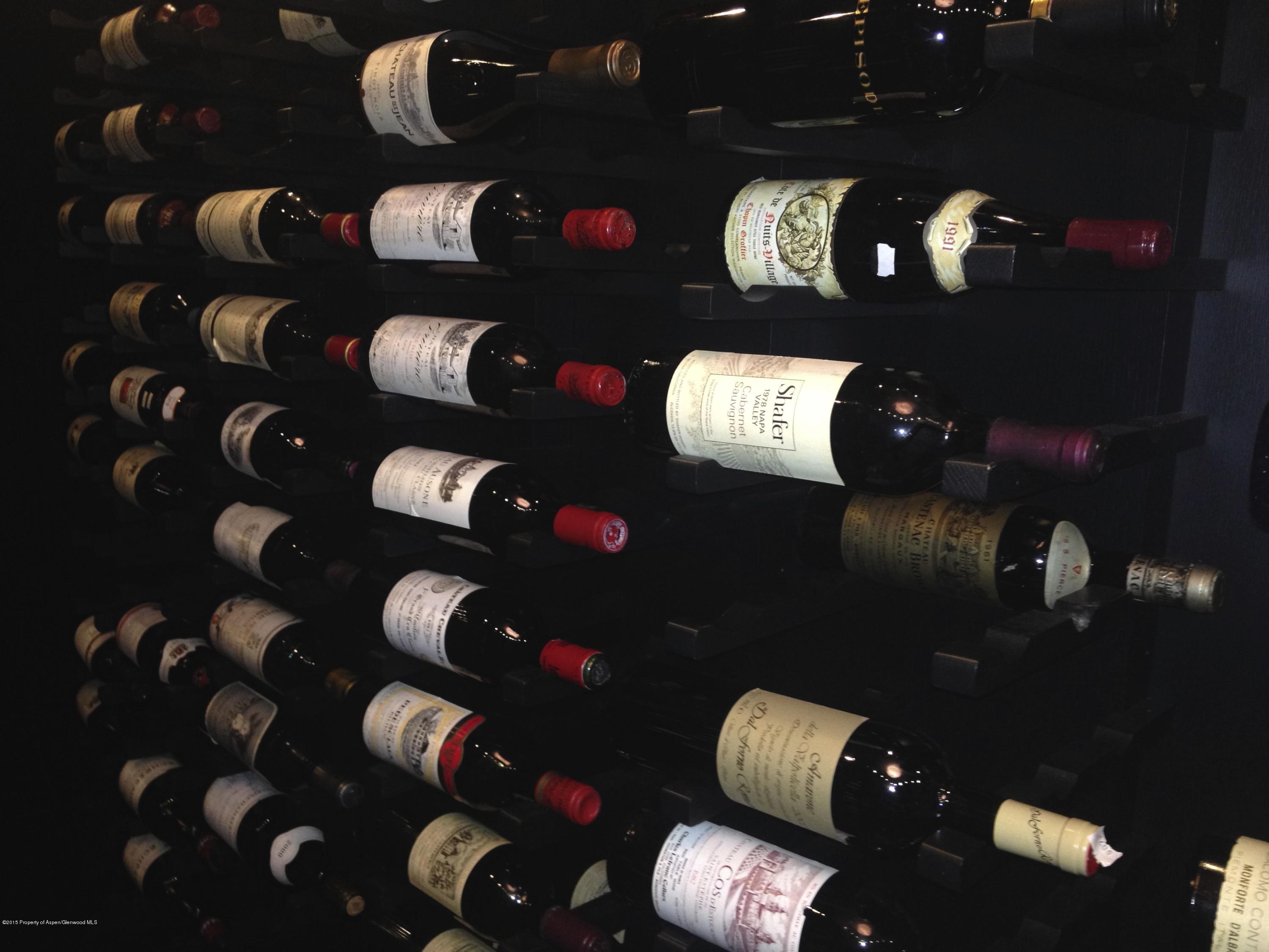 196 Pfister Drive Aspen CO 81611