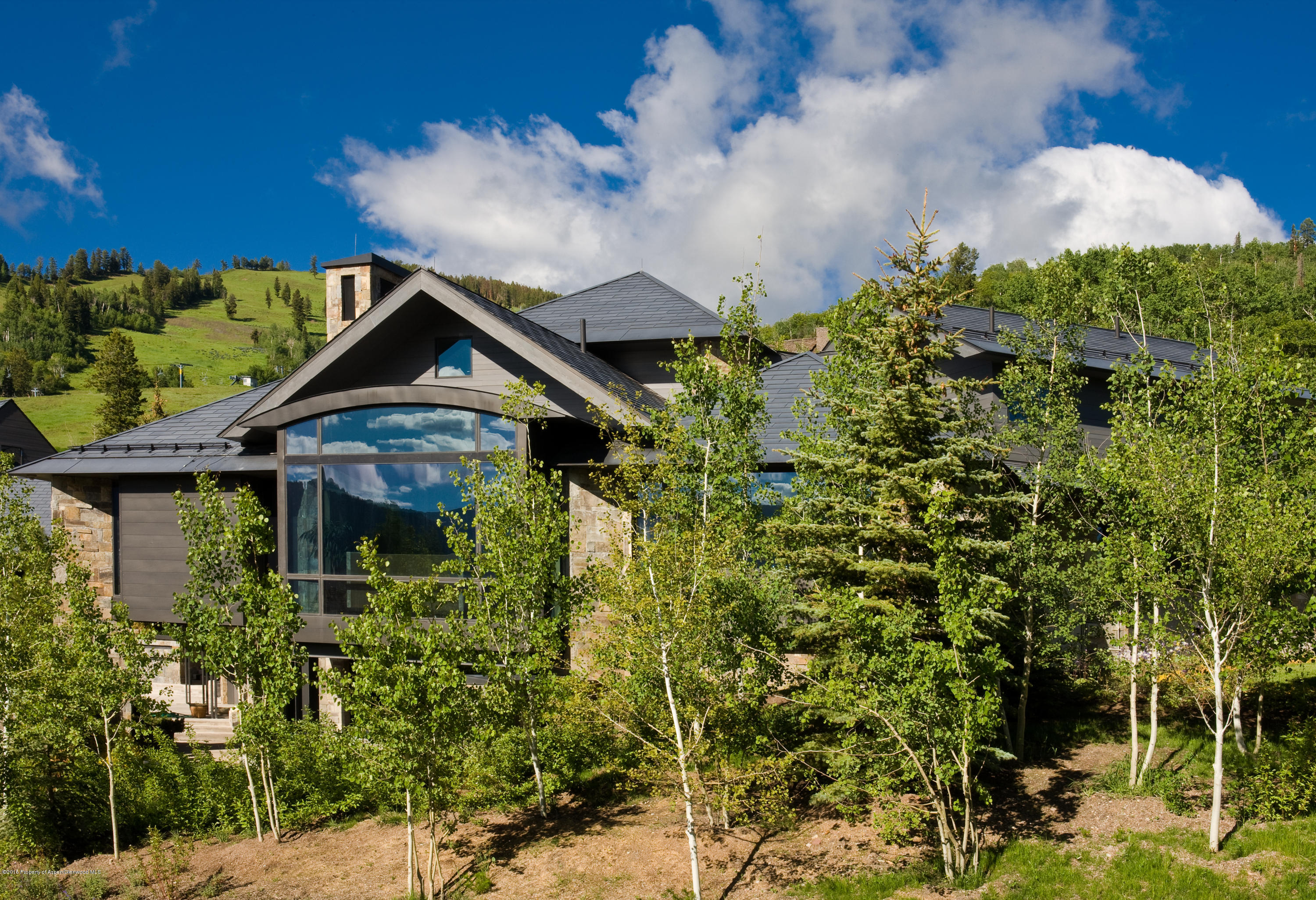 196 Pfister Drive Aspen CO 81611