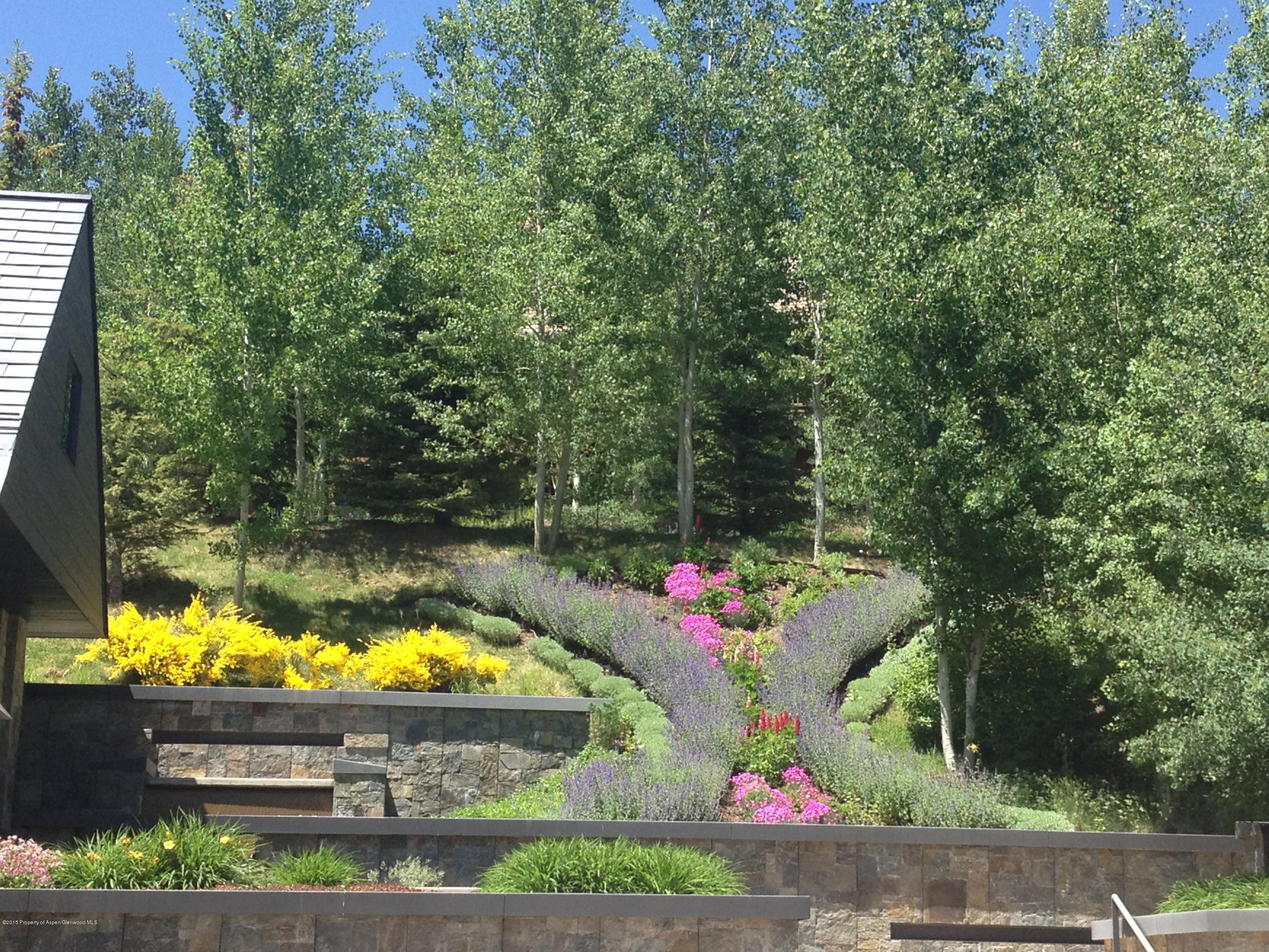 196 Pfister Drive Aspen CO 81611