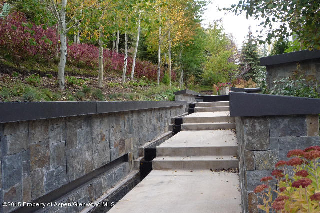 196 Pfister Drive Aspen CO 81611