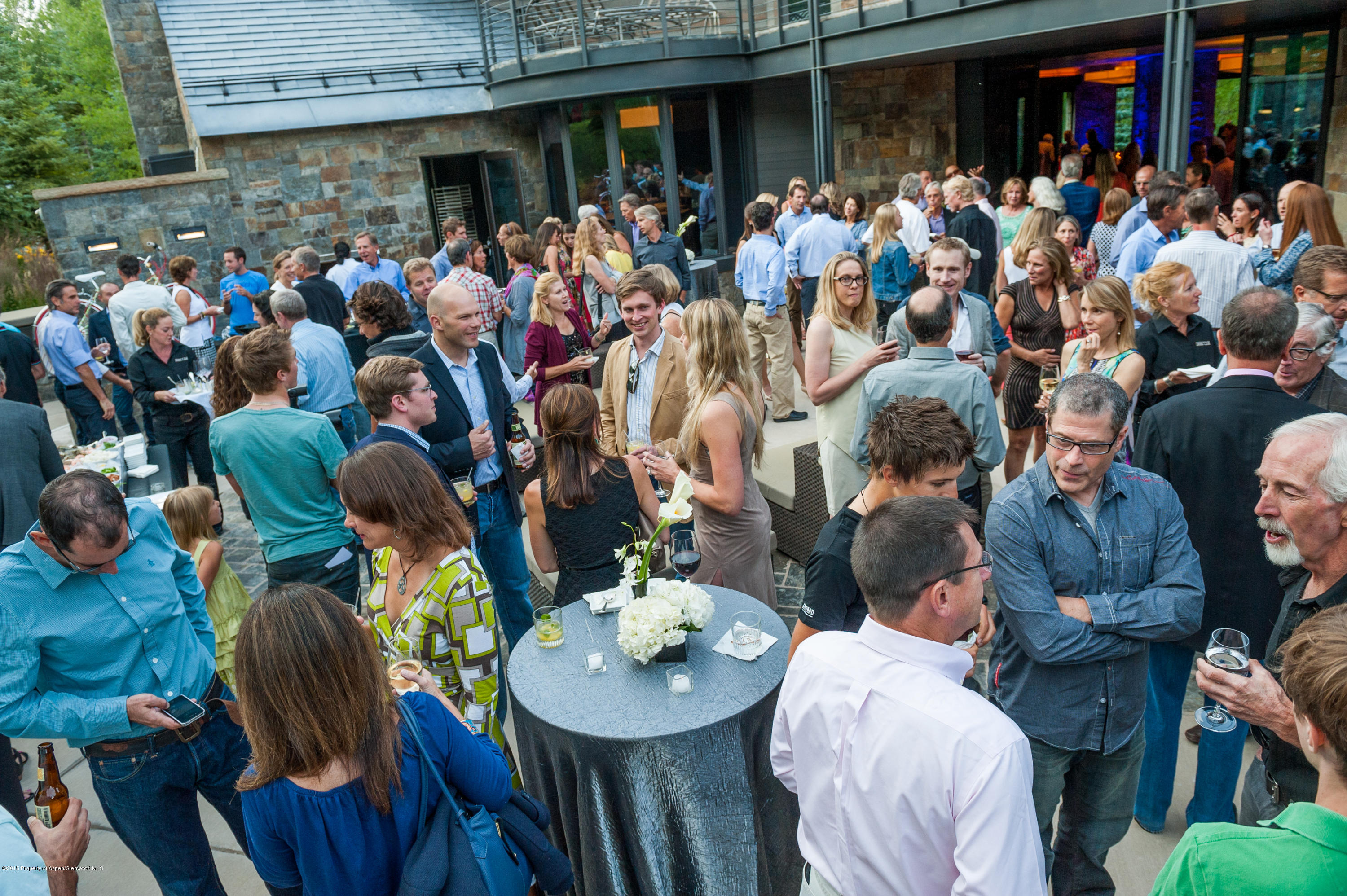 196 Pfister Drive Aspen CO 81611