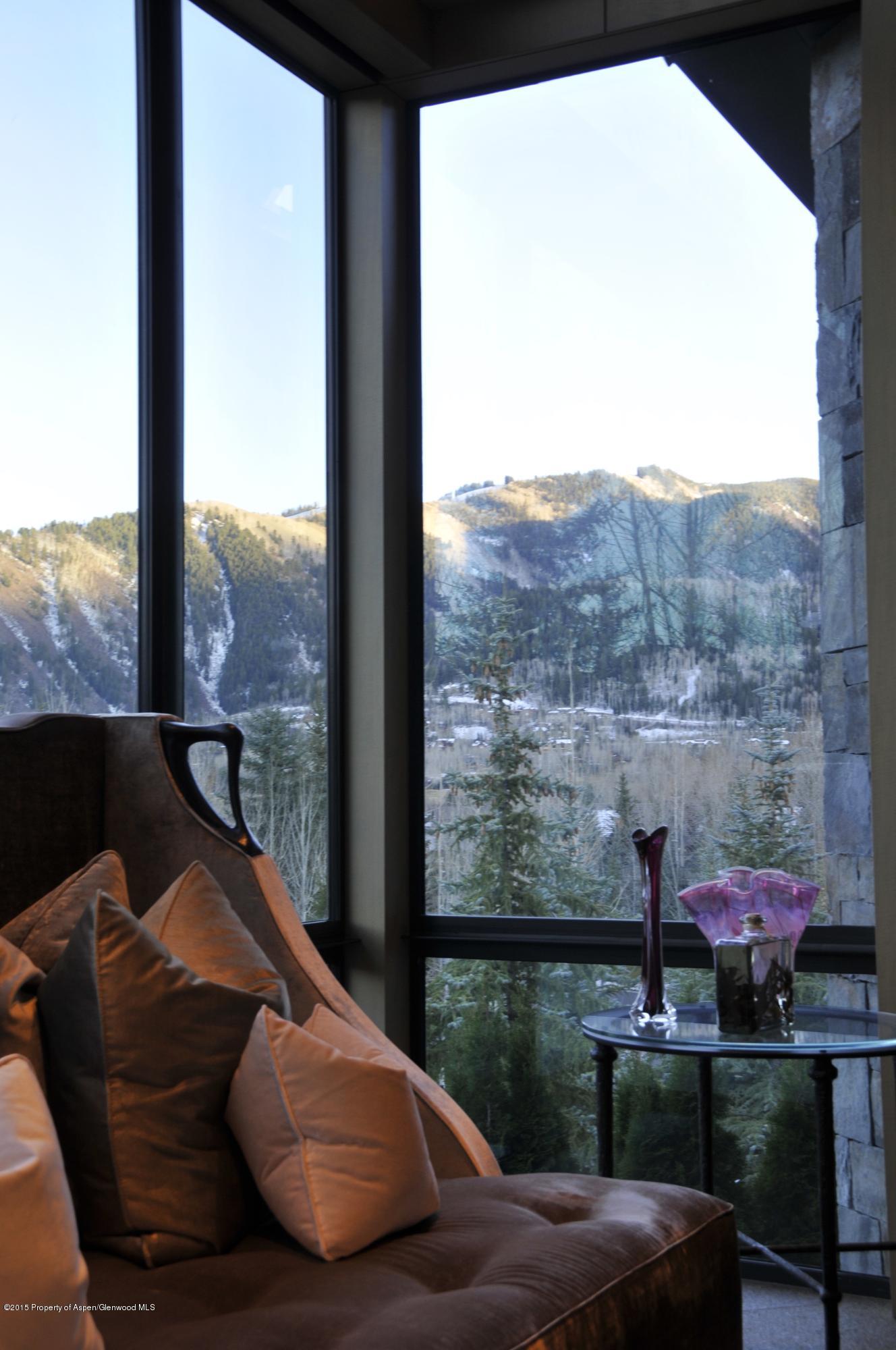 196 Pfister Drive Aspen CO 81611