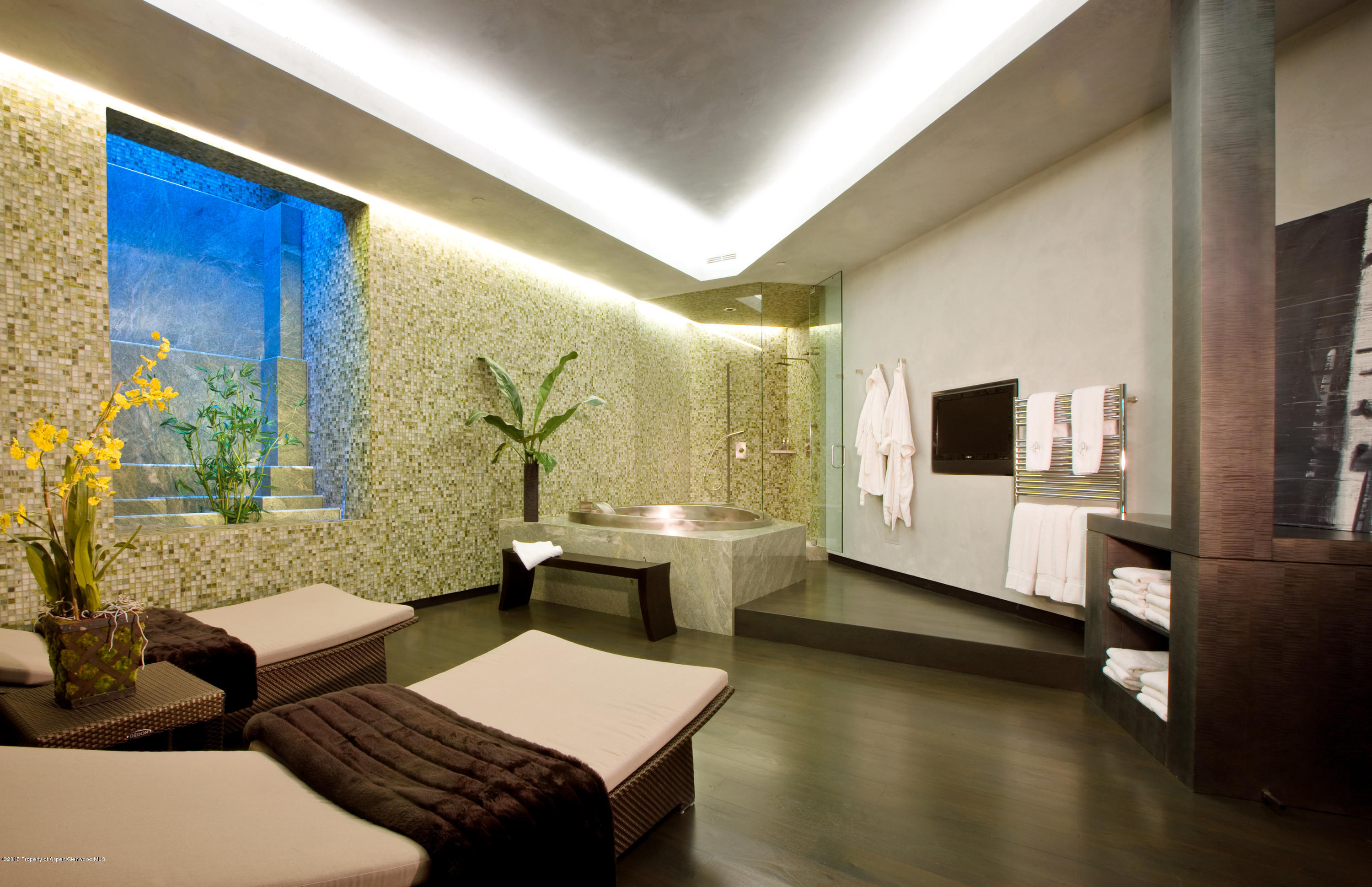 196 Pfister Drive Aspen CO 81611