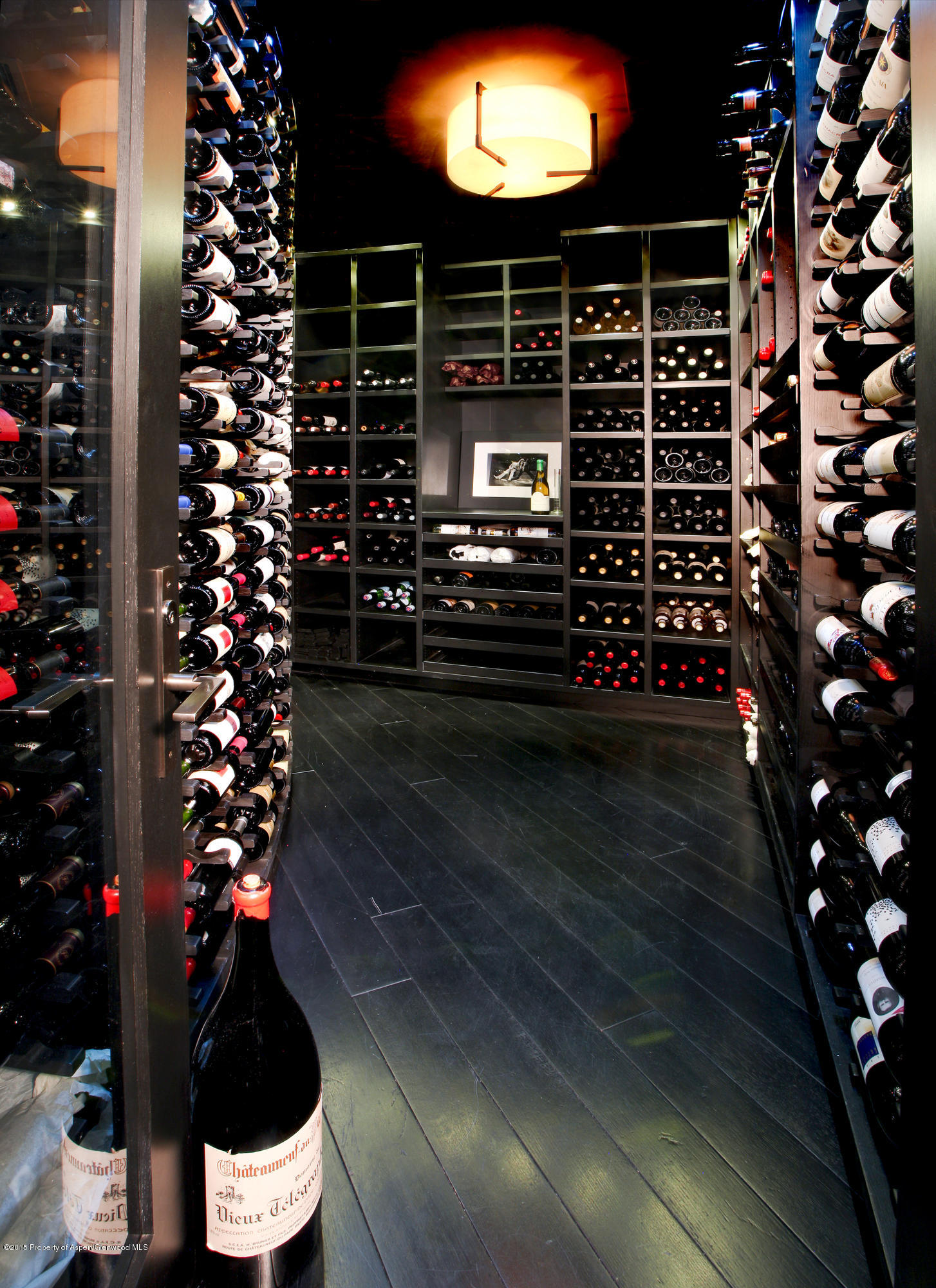 196 Pfister Drive Aspen CO 81611