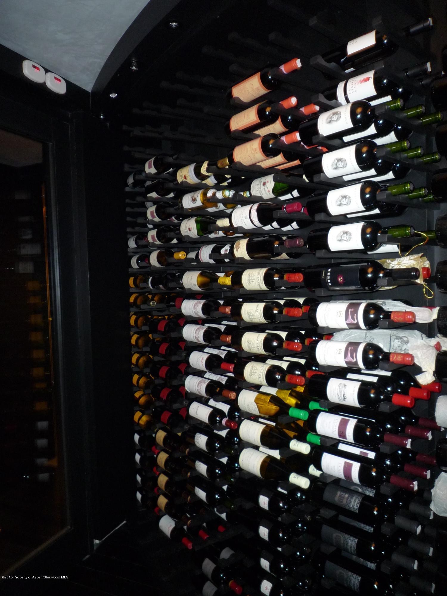 196 Pfister Drive Aspen CO 81611