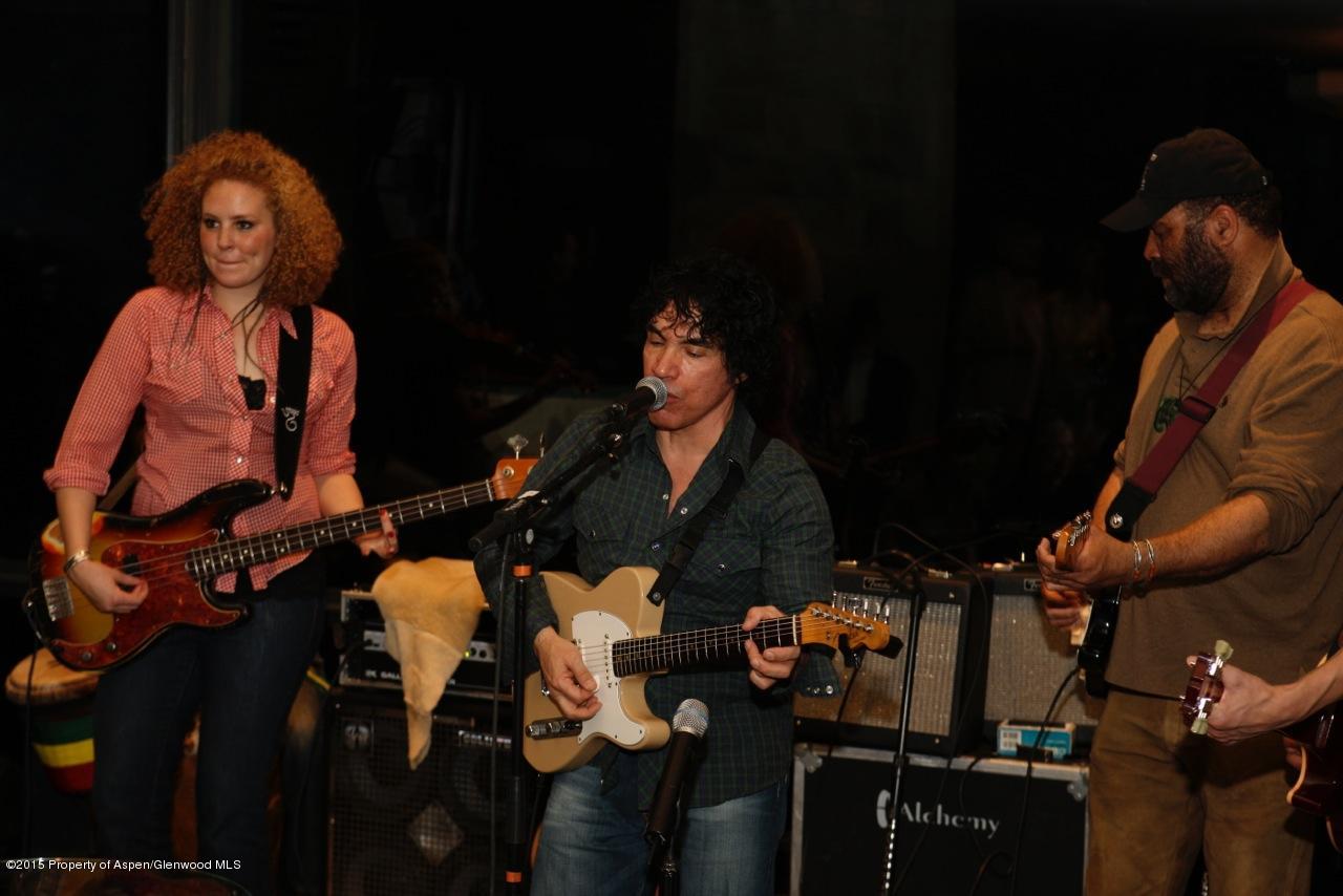 196 Pfister Drive Aspen CO 81611