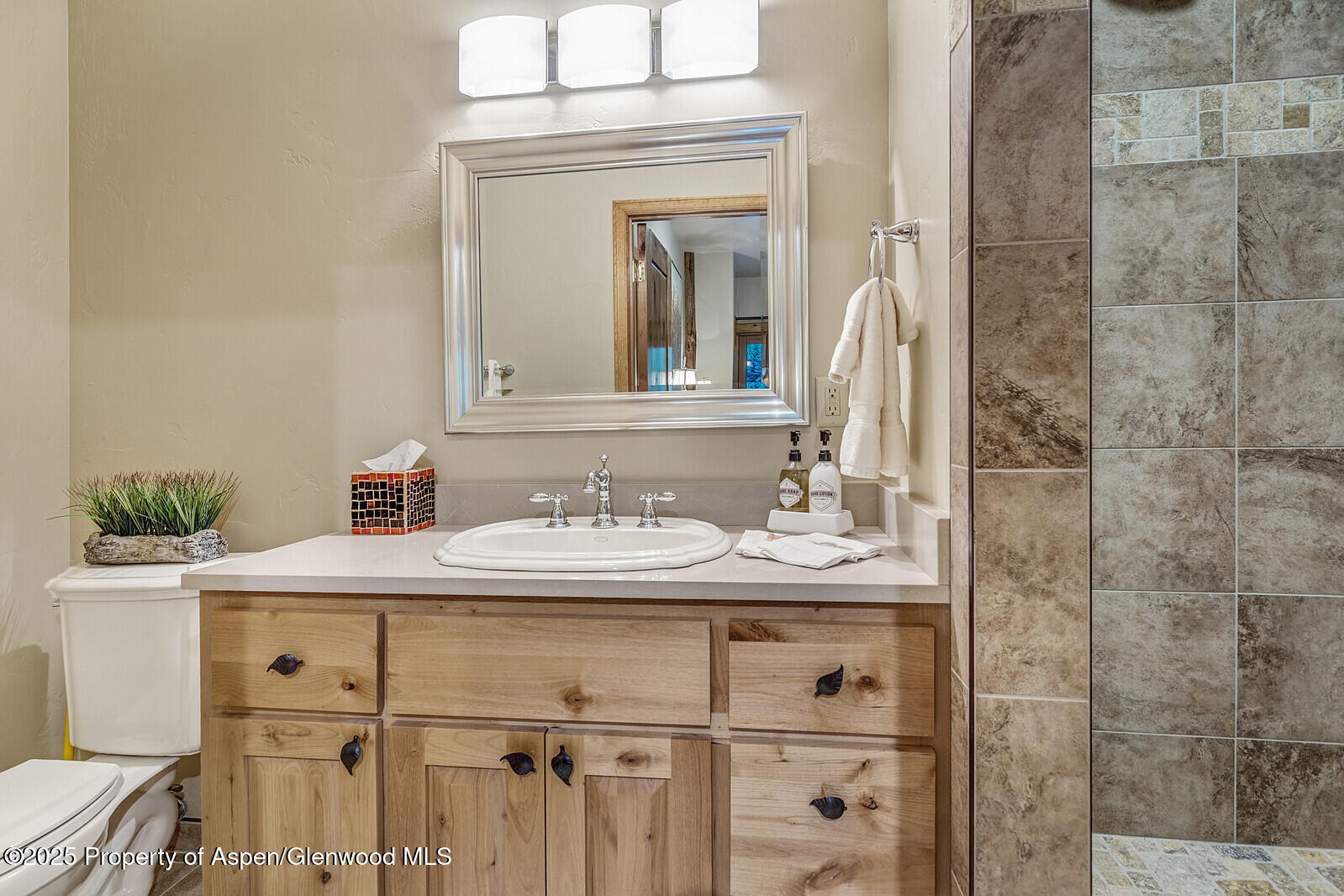 251 Chair Mountain Drive Redstone CO 81623