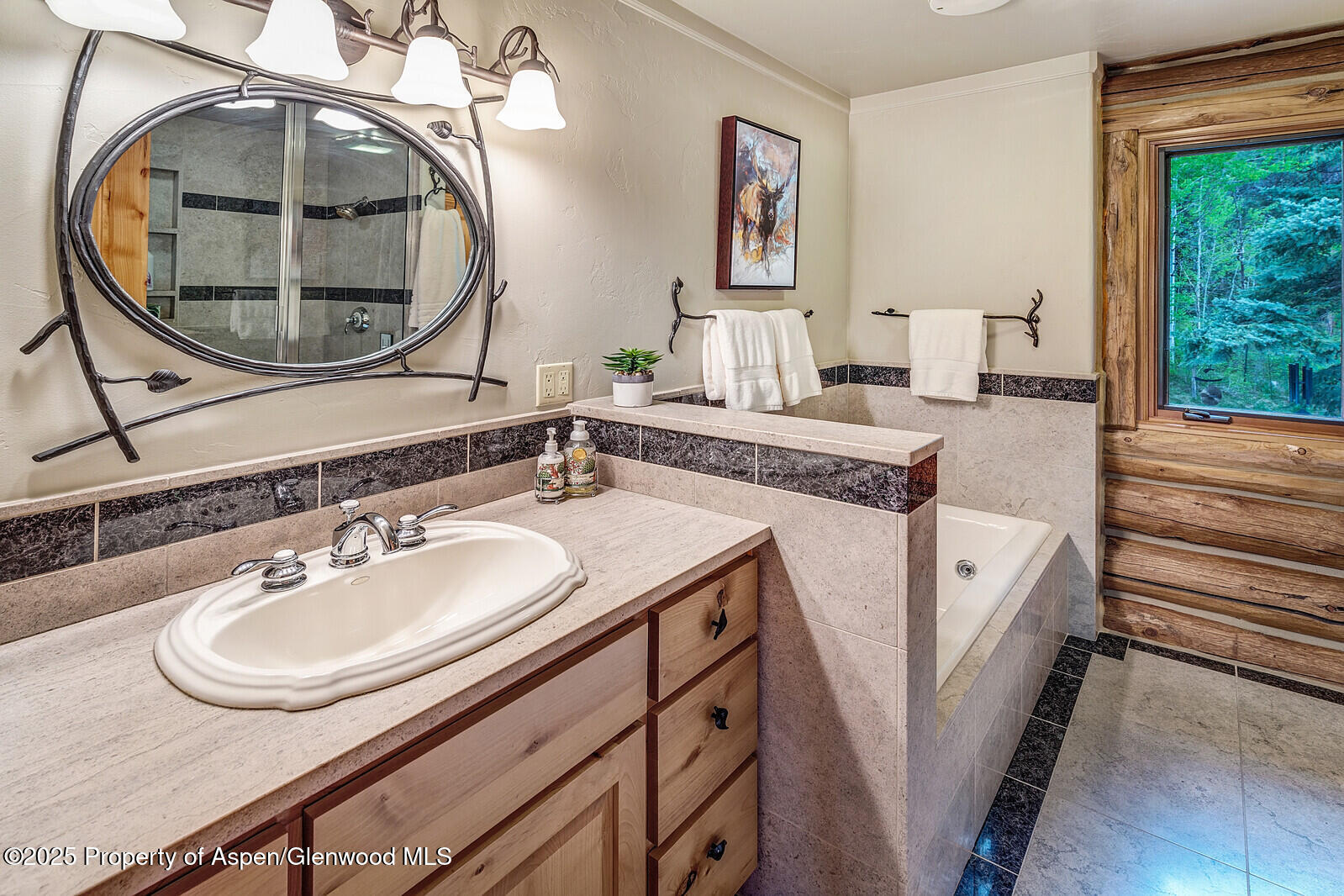 251 Chair Mountain Drive Redstone CO 81623