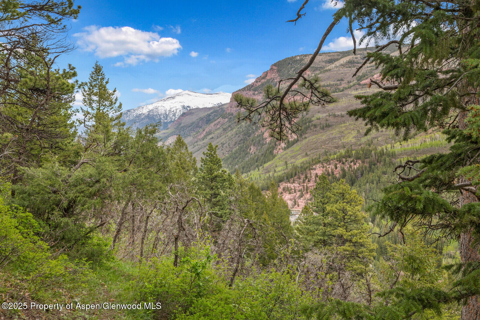 251 Chair Mountain Drive Redstone CO 81623