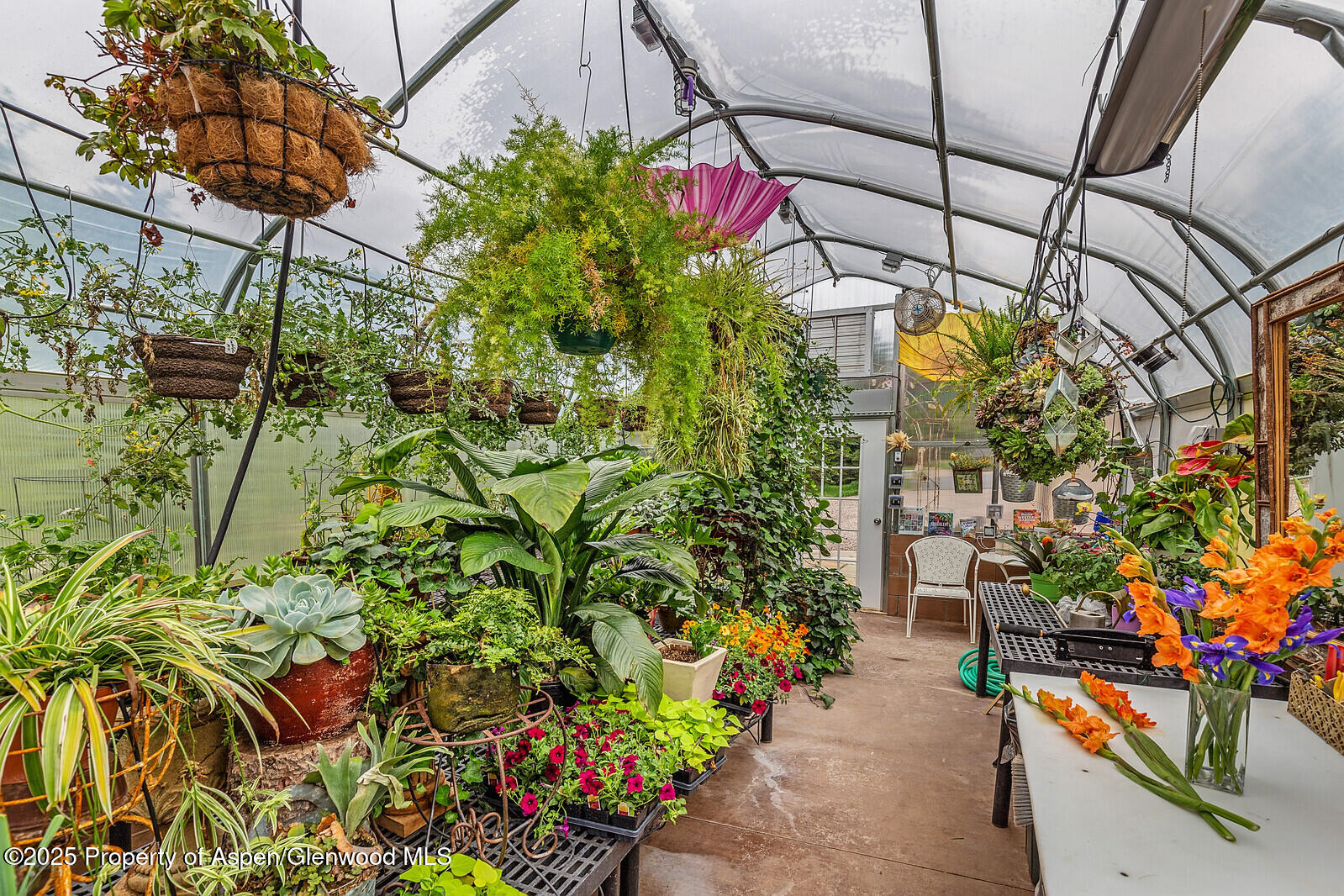 251 Chair Mountain Drive Redstone CO 81623