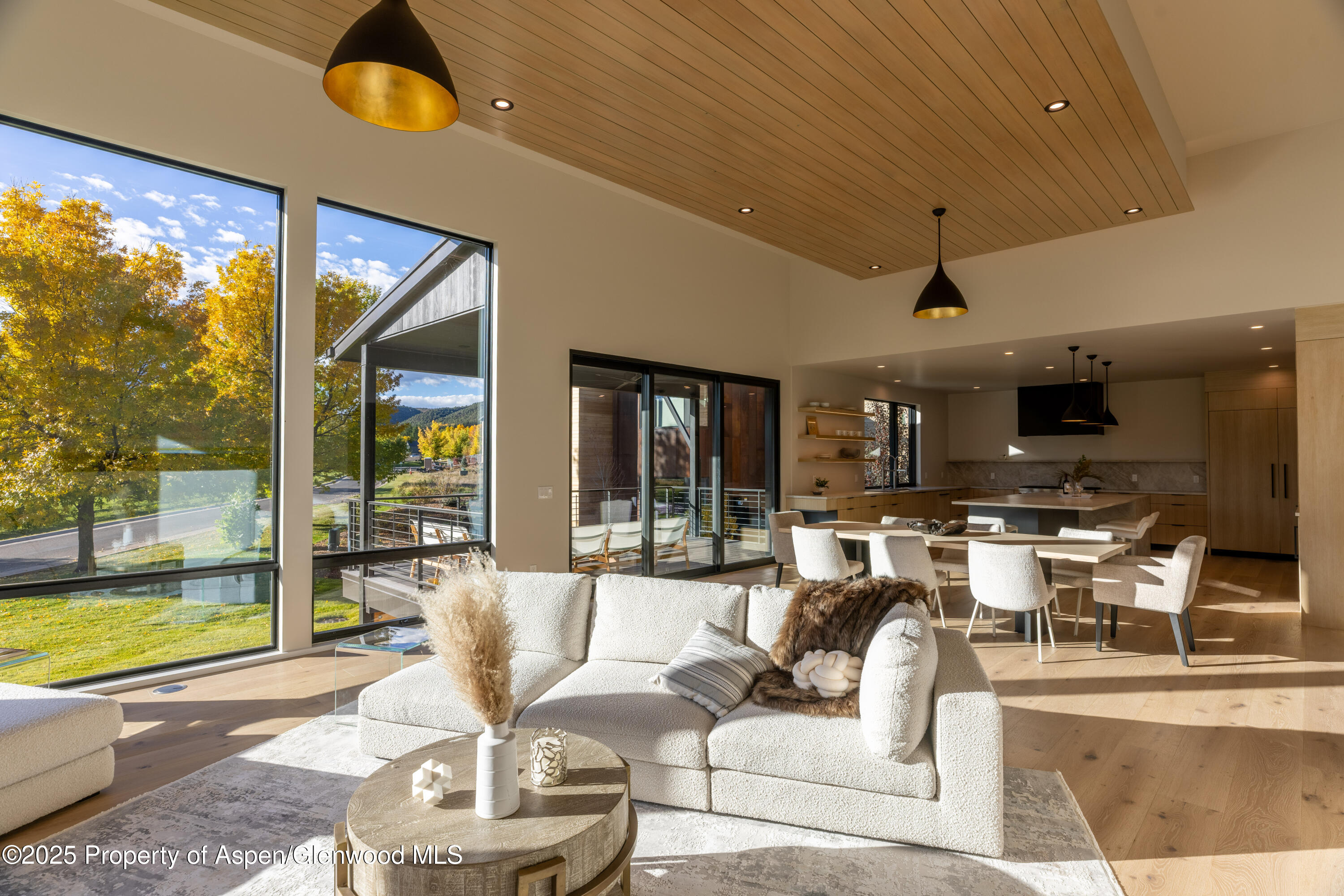 719 Perry Ridge Carbondale CO 81623