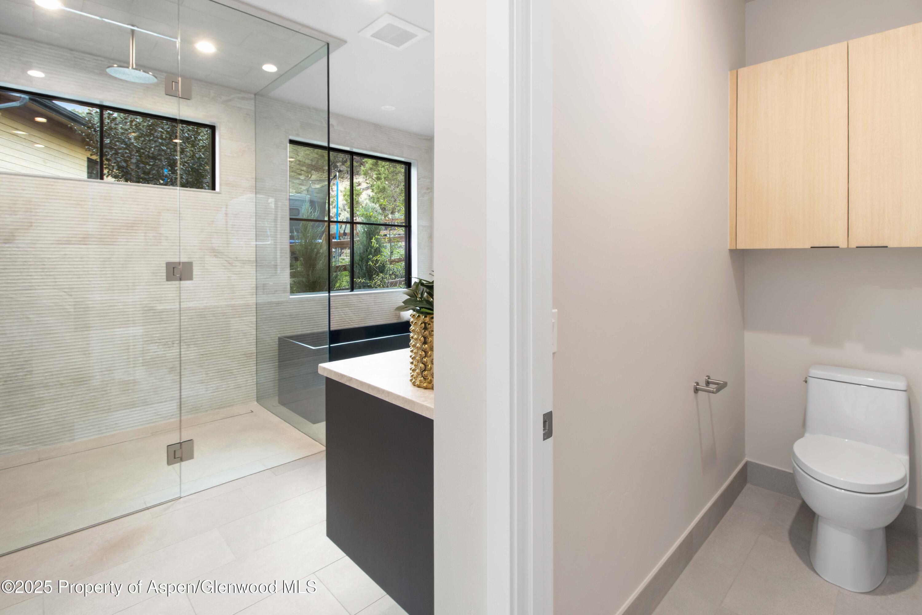 719 Perry Ridge Carbondale CO 81623