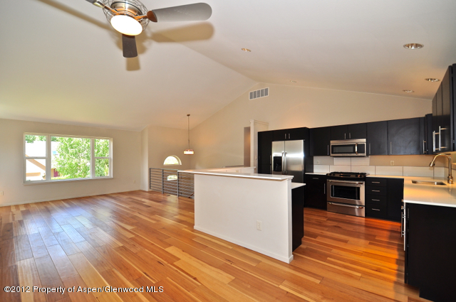 29 Quail Run Carbondale CO 81623
