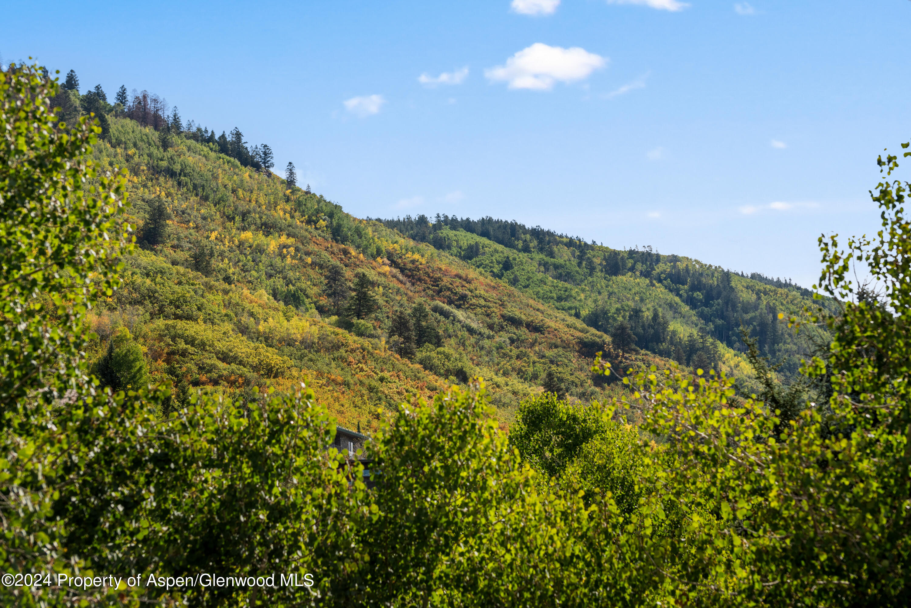 42 Northway Drive Aspen CO 81611