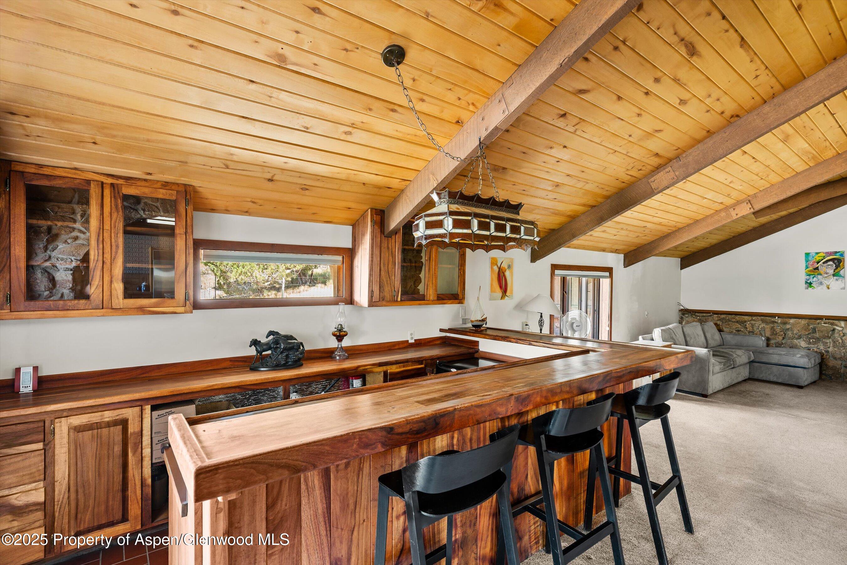 14 Fender Lane Carbondale CO 81623