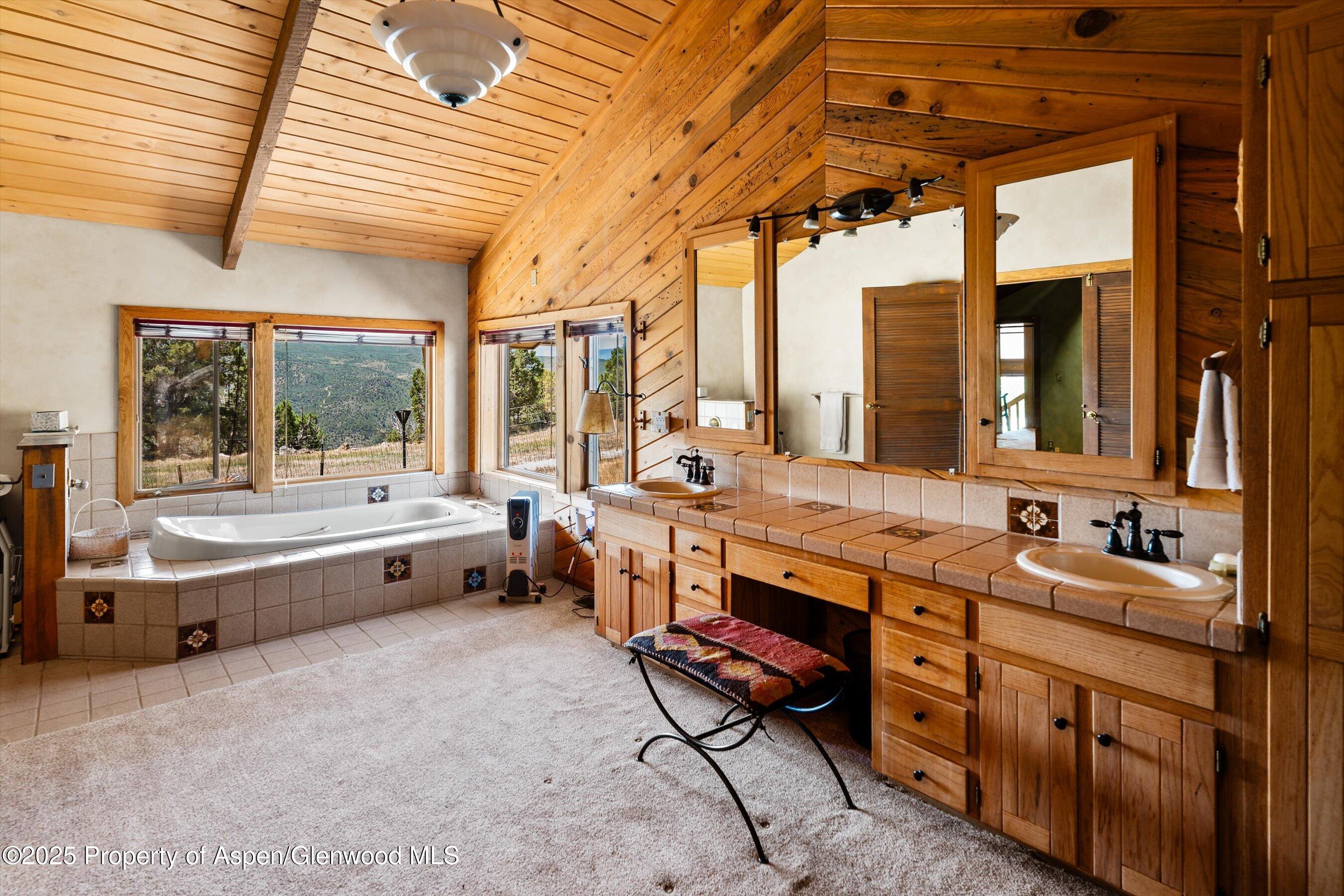 14 Fender Lane Carbondale CO 81623