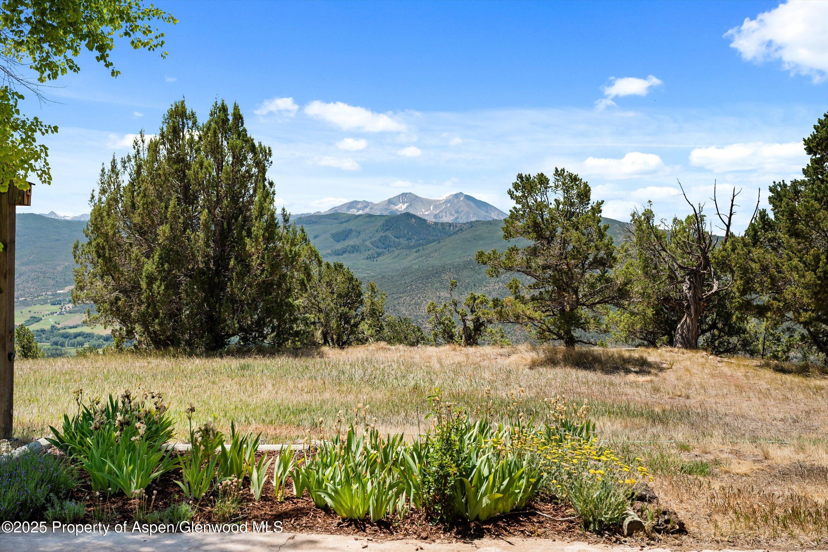 14 Fender Lane Carbondale CO 81623