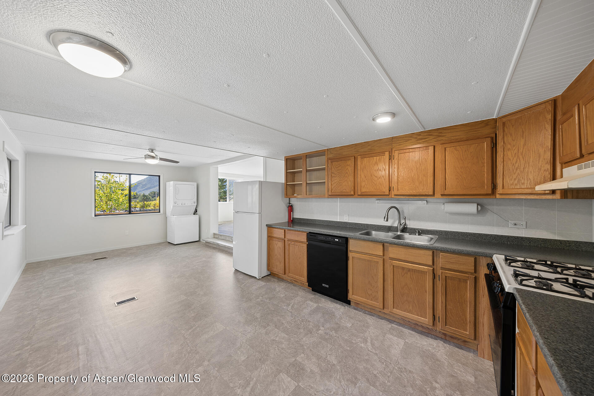 285 Comanchero Trail New Castle CO 81647