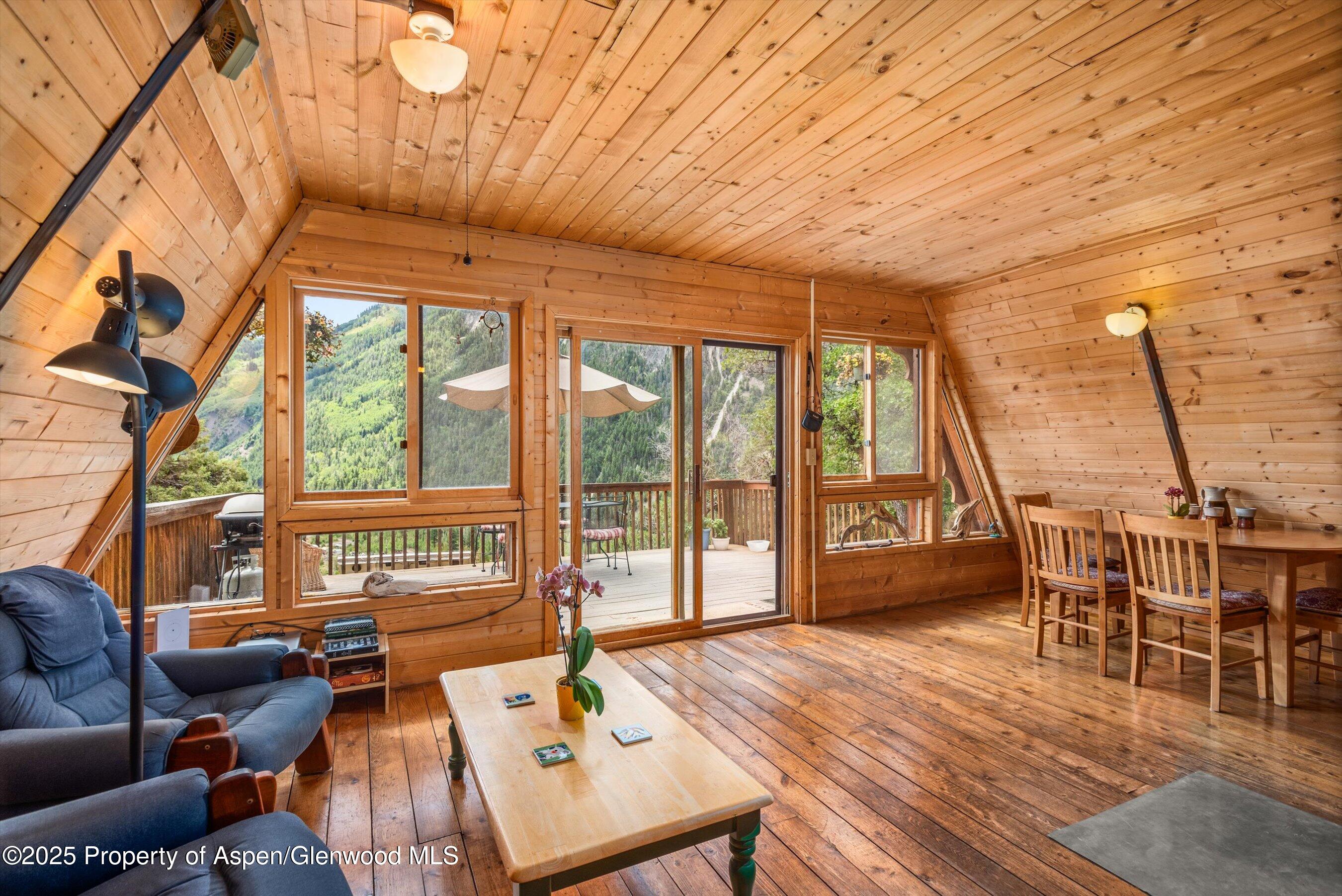 860 Serpentine Trail Marble CO 81623