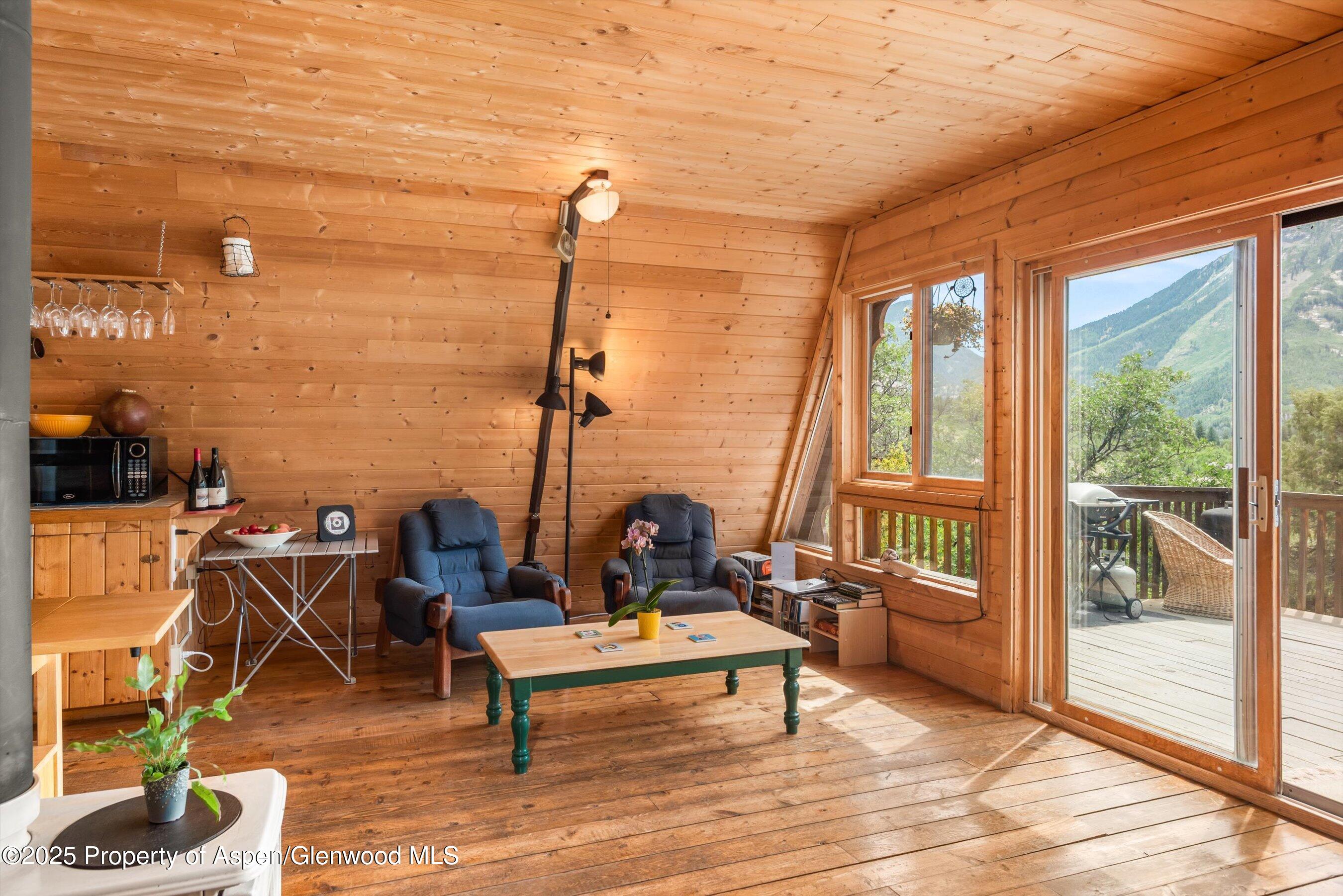 860 Serpentine Trail Marble CO 81623