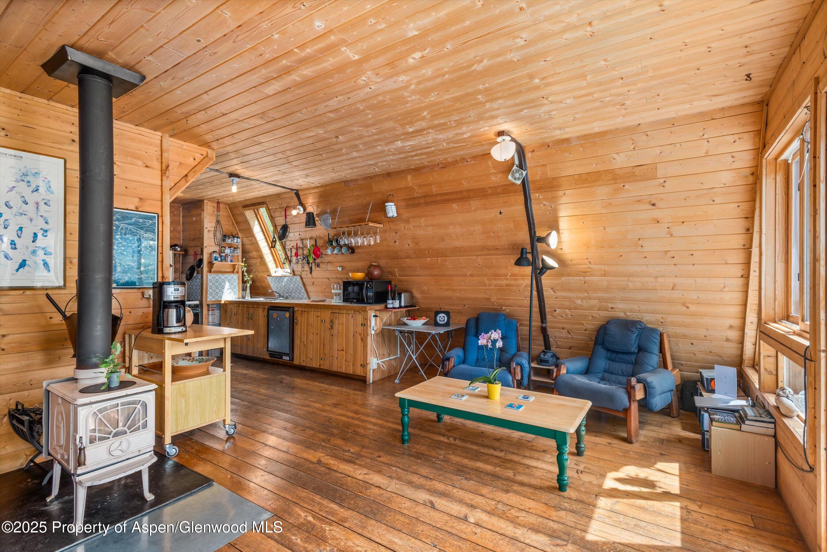 860 Serpentine Trail Marble CO 81623