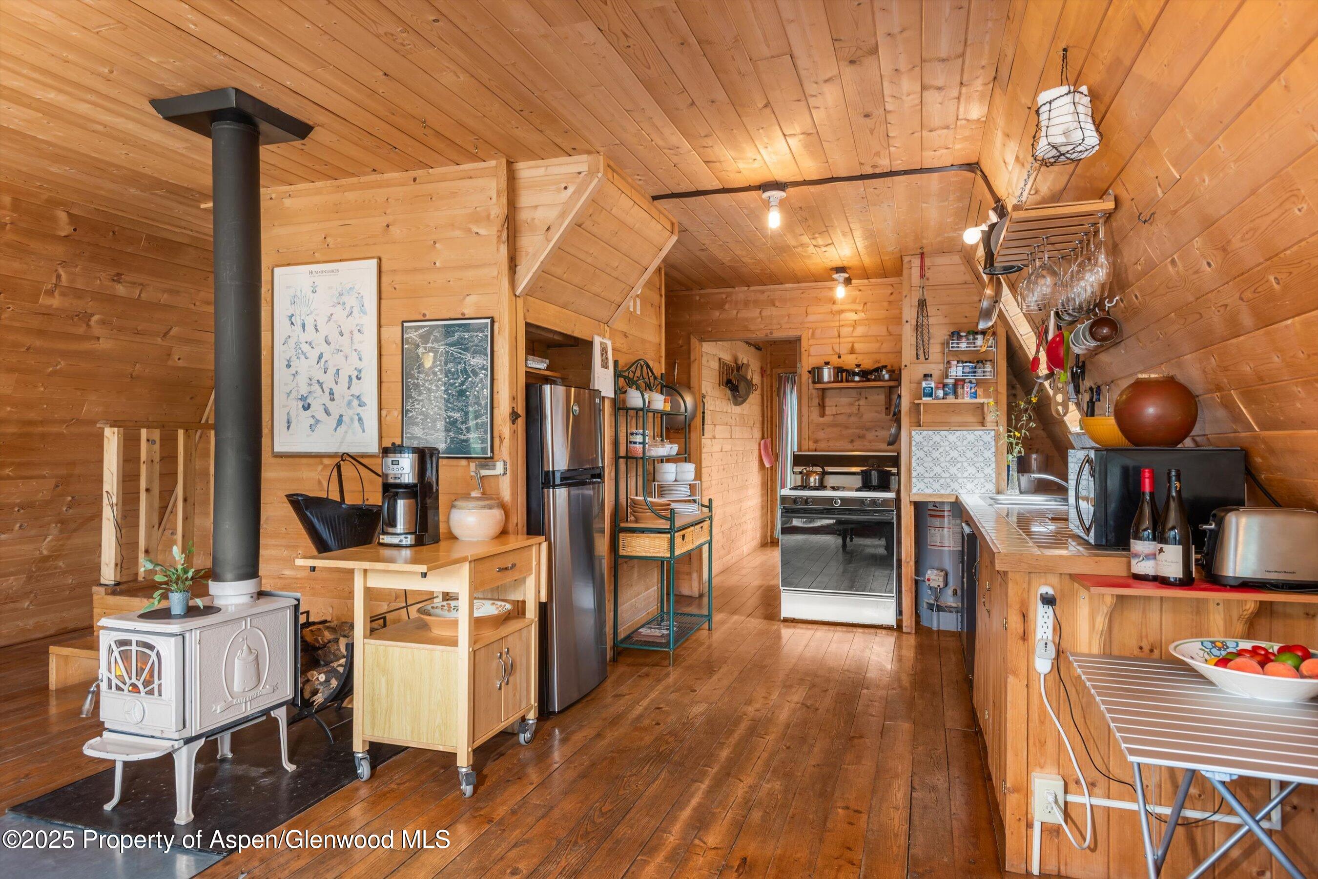 860 Serpentine Trail Marble CO 81623