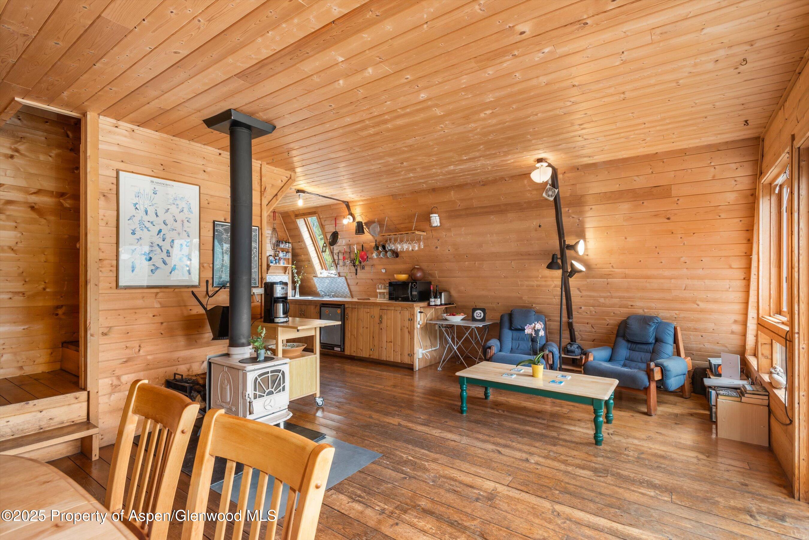 860 Serpentine Trail Marble CO 81623