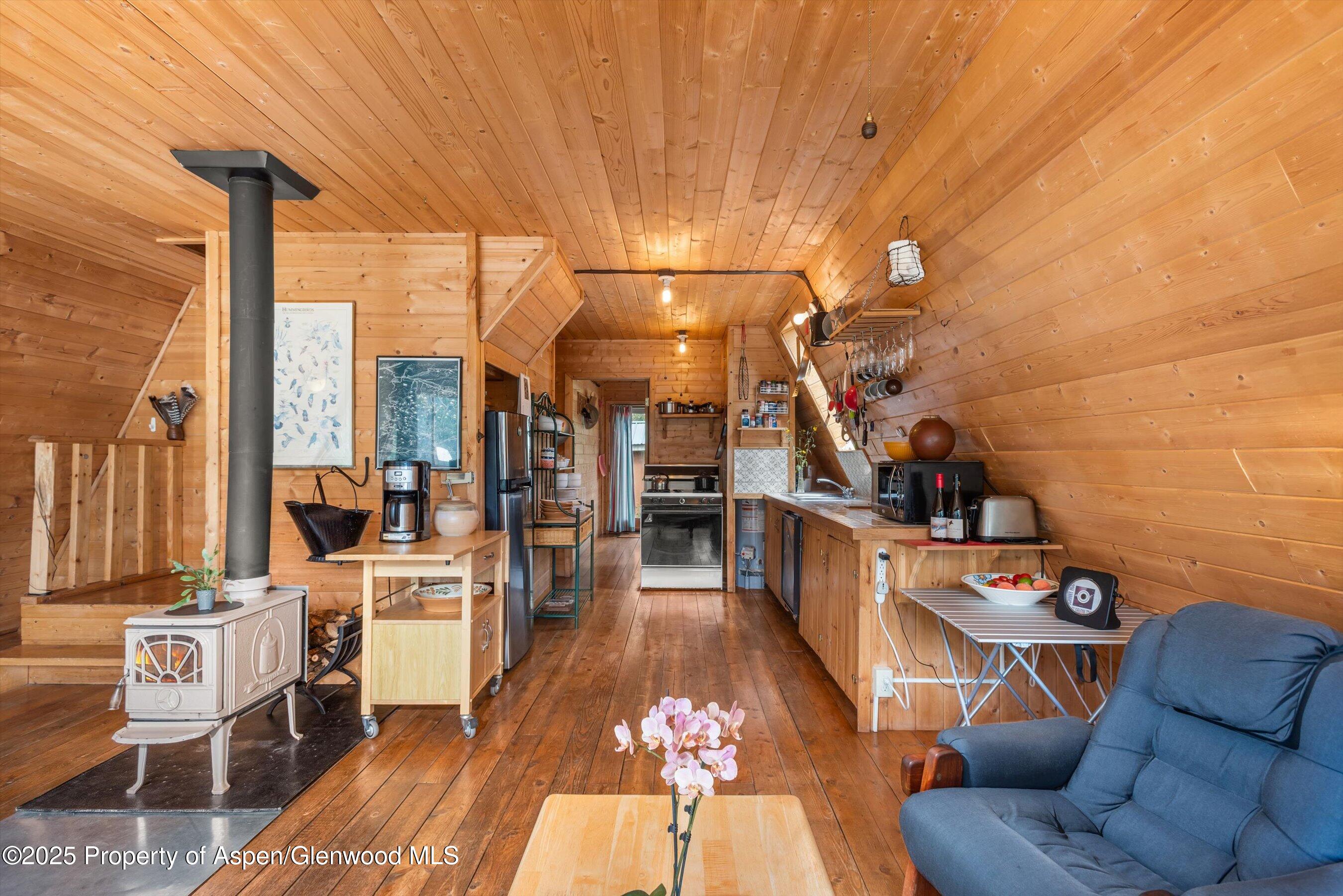 860 Serpentine Trail Marble CO 81623