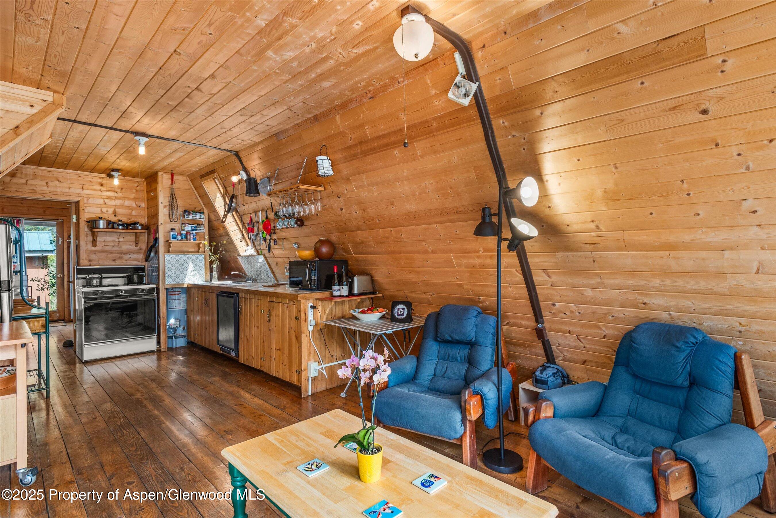 860 Serpentine Trail Marble CO 81623