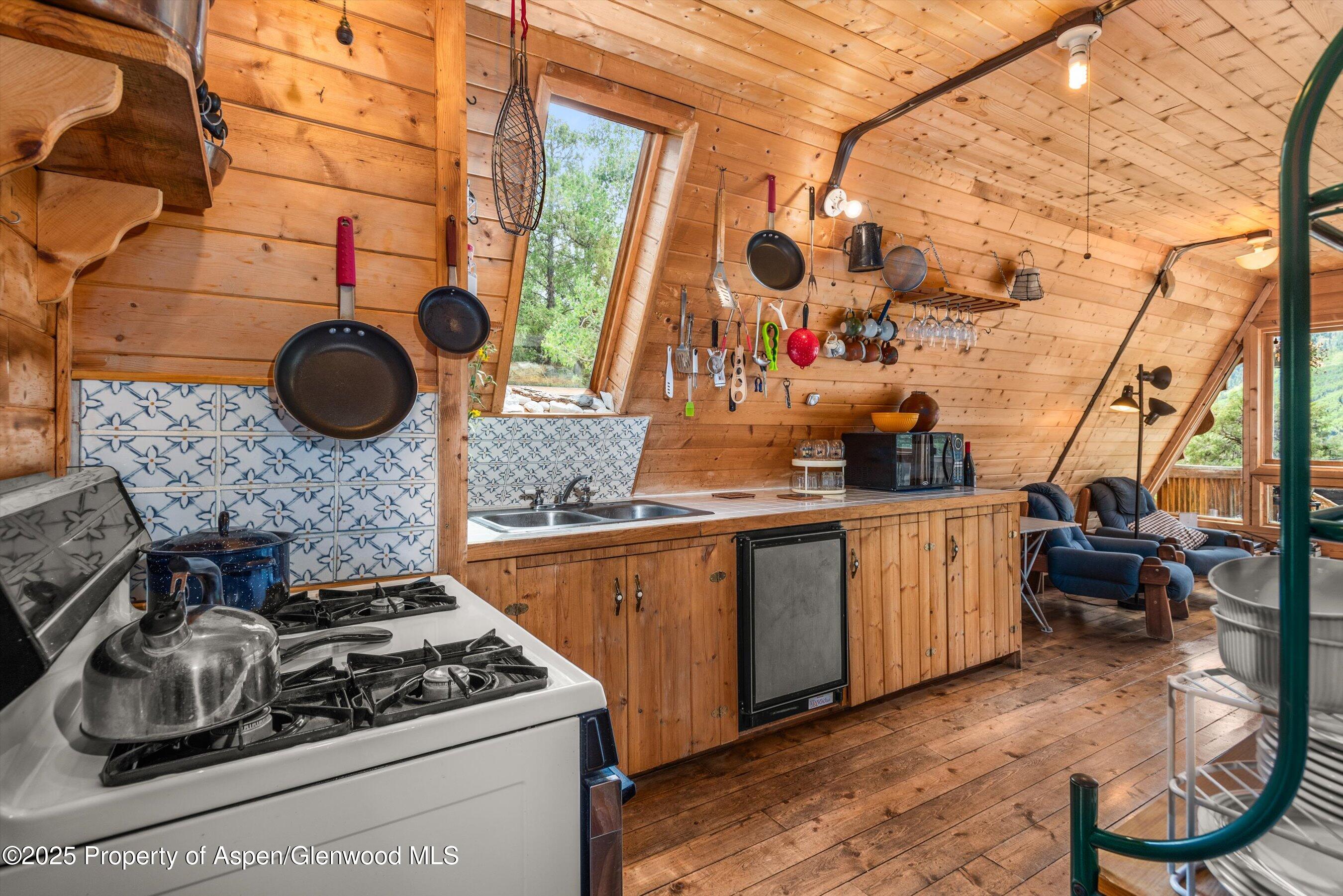 860 Serpentine Trail Marble CO 81623