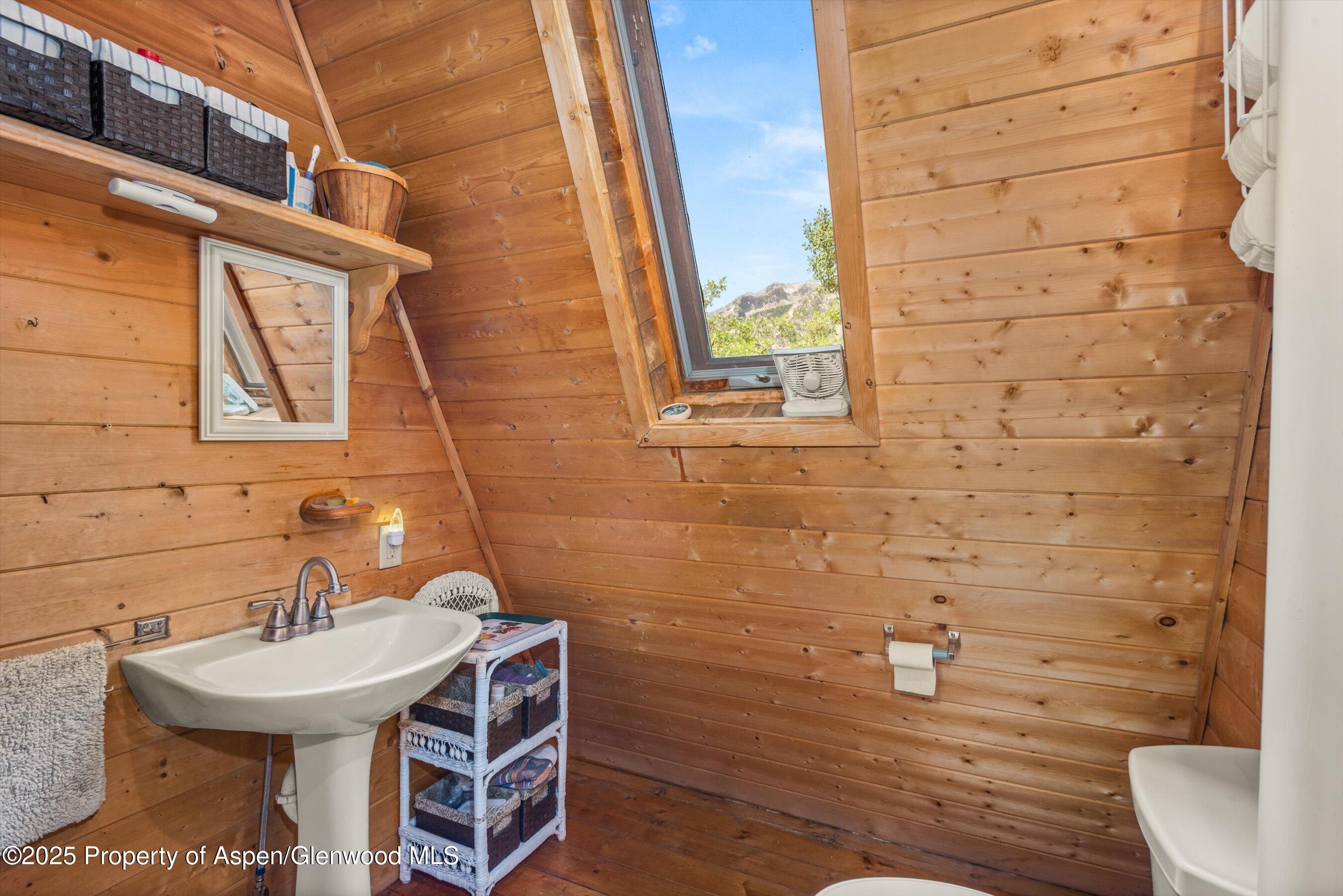 860 Serpentine Trail Marble CO 81623