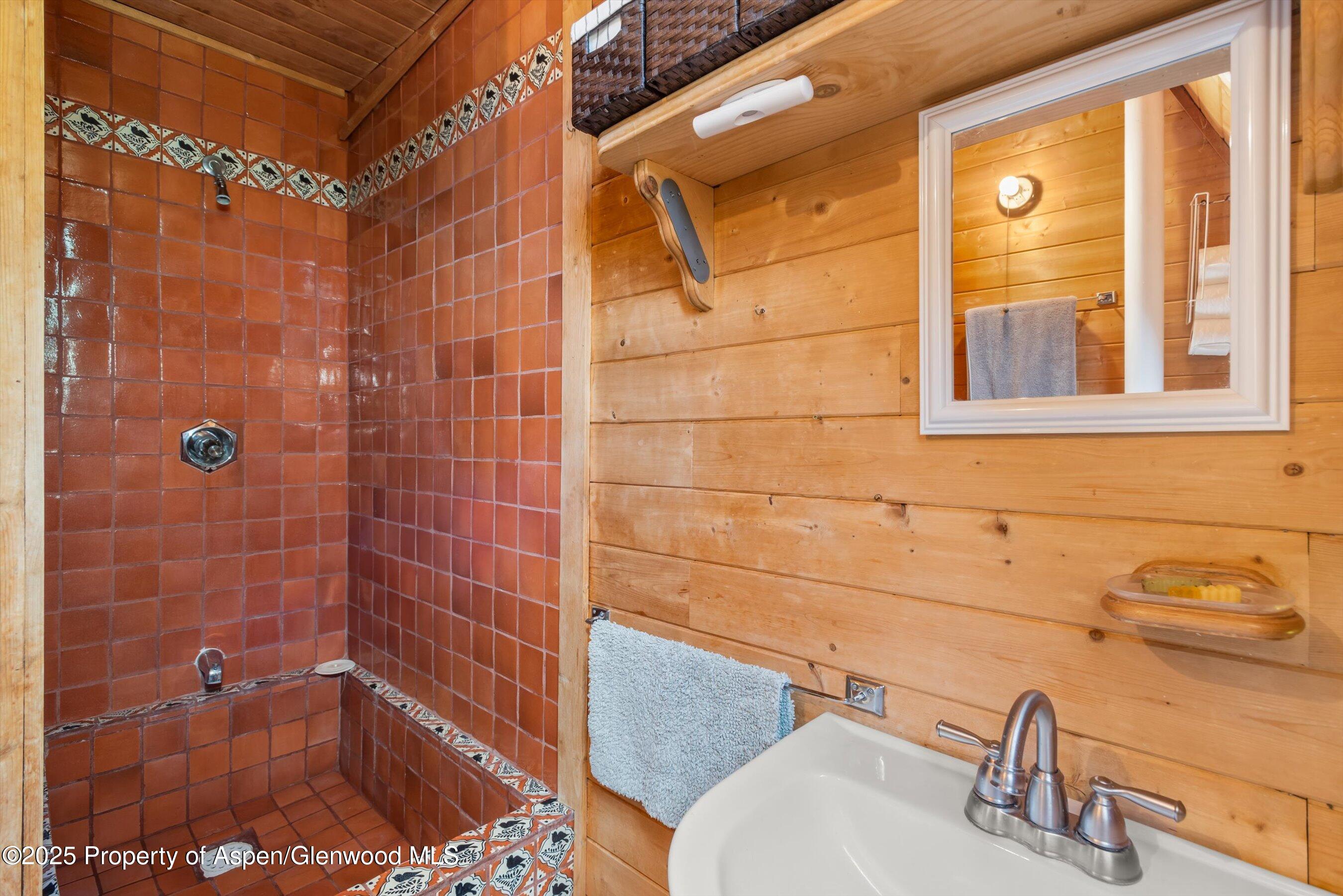 860 Serpentine Trail Marble CO 81623