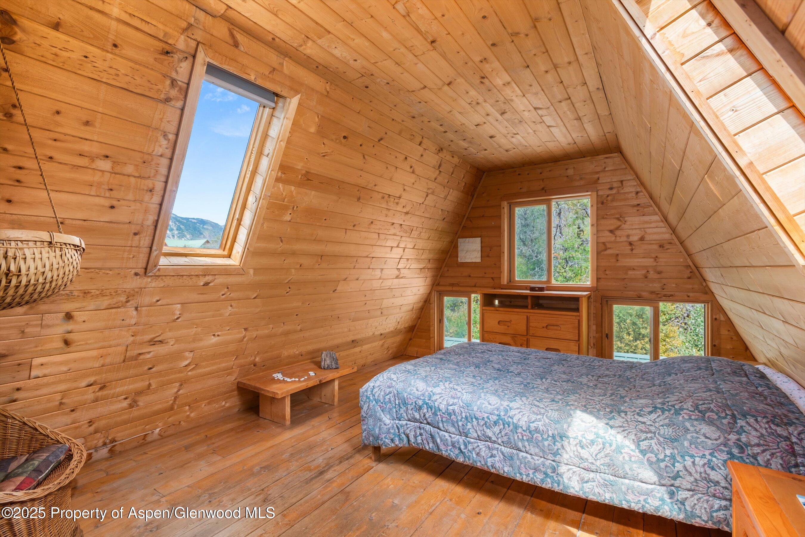 860 Serpentine Trail Marble CO 81623