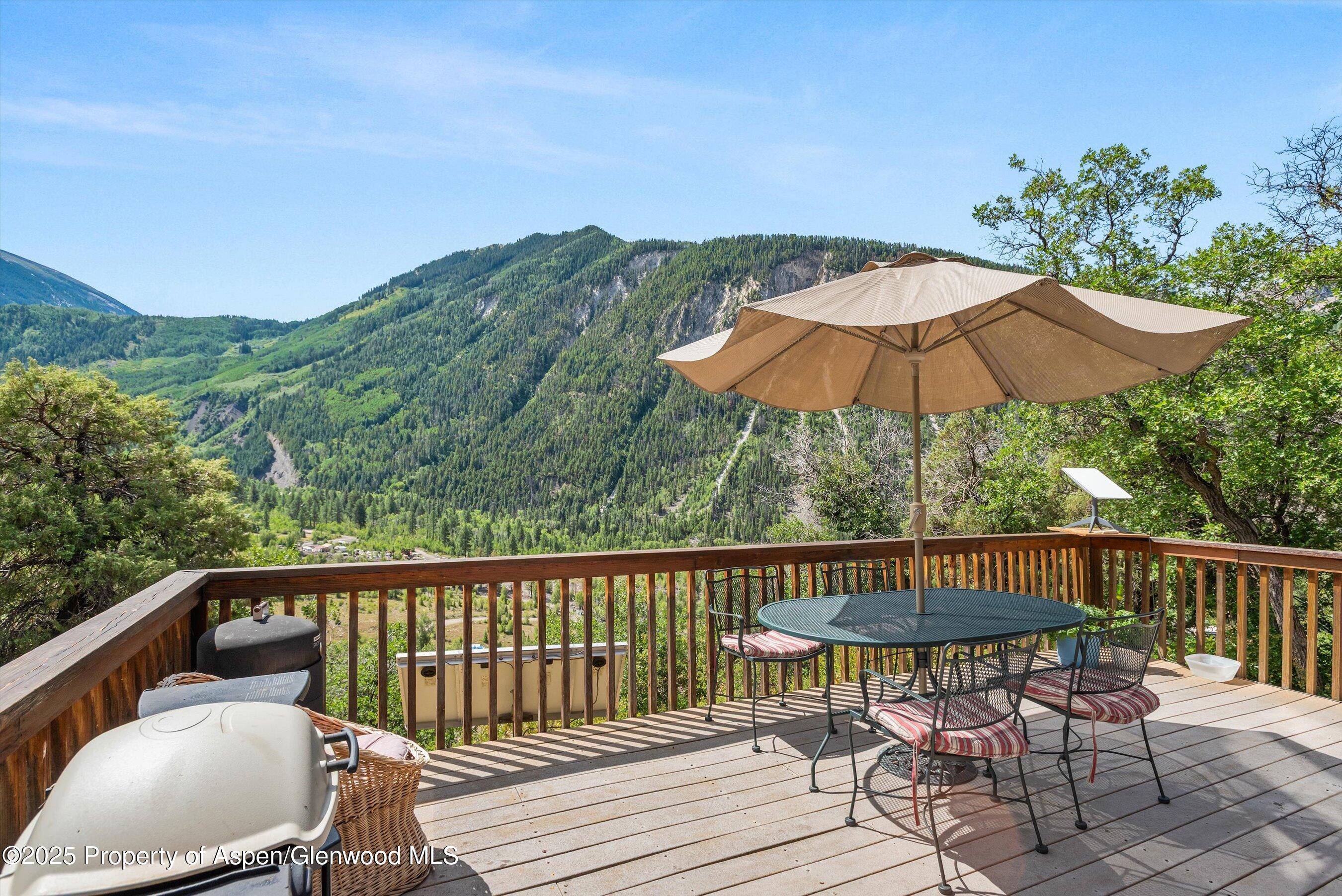 860 Serpentine Trail Marble CO 81623