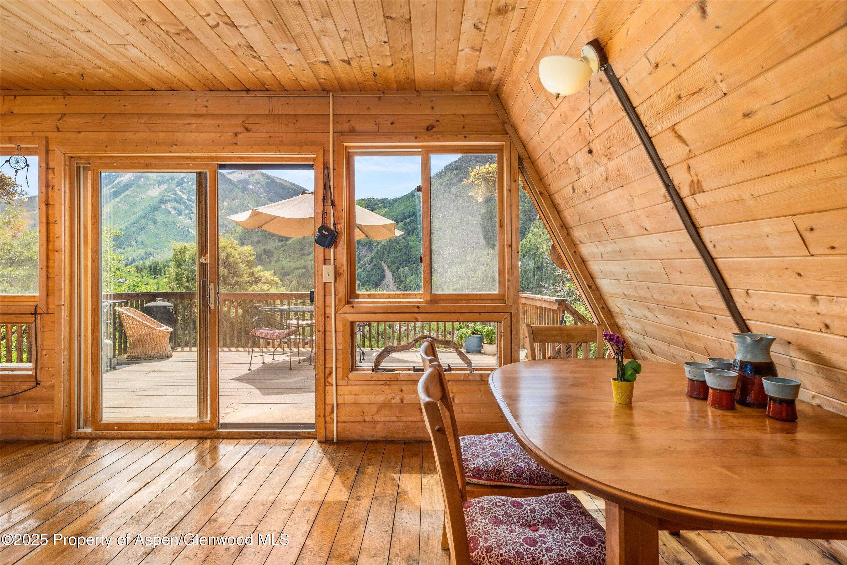 860 Serpentine Trail Marble CO 81623