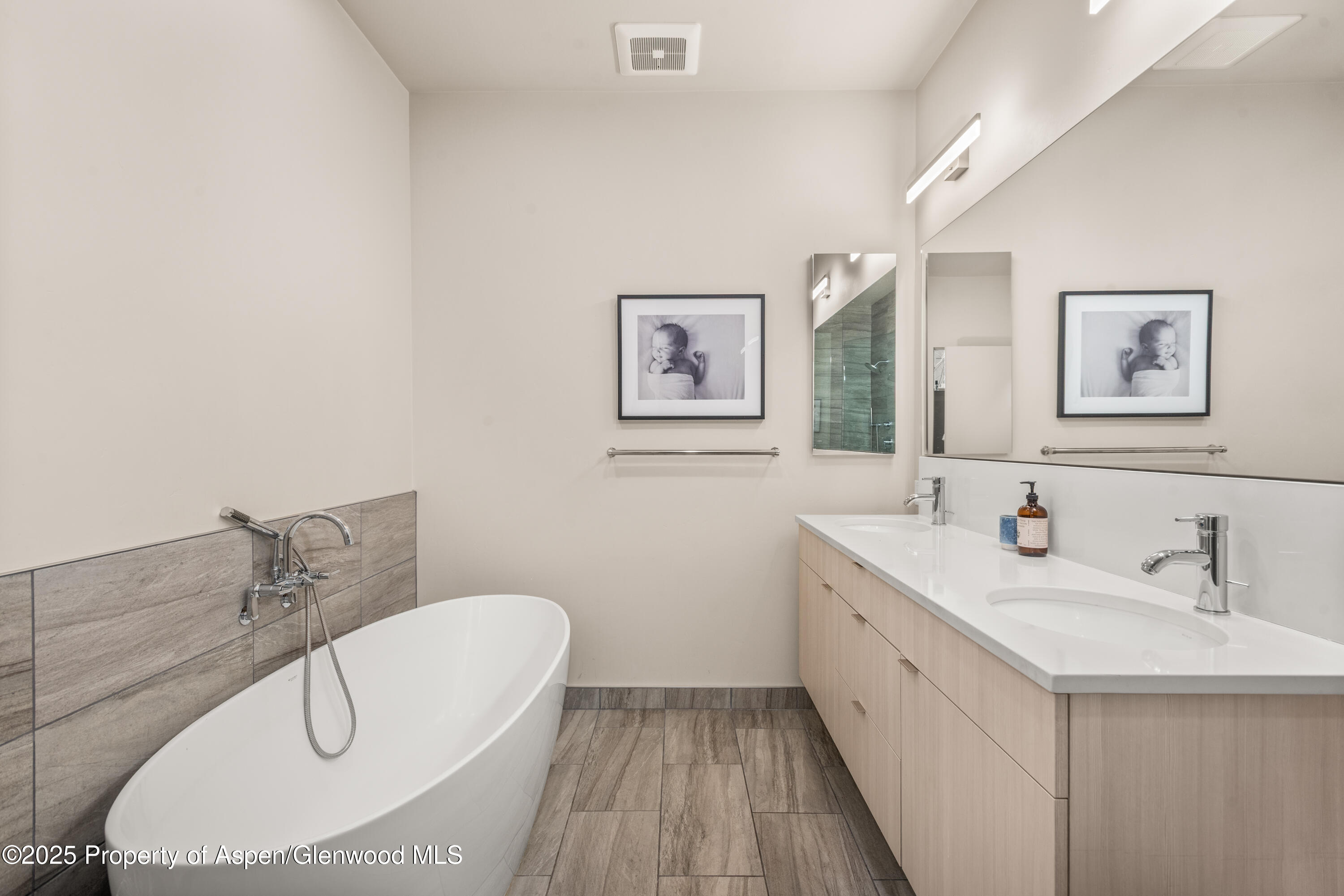 113 Valley Court Basalt CO 81621