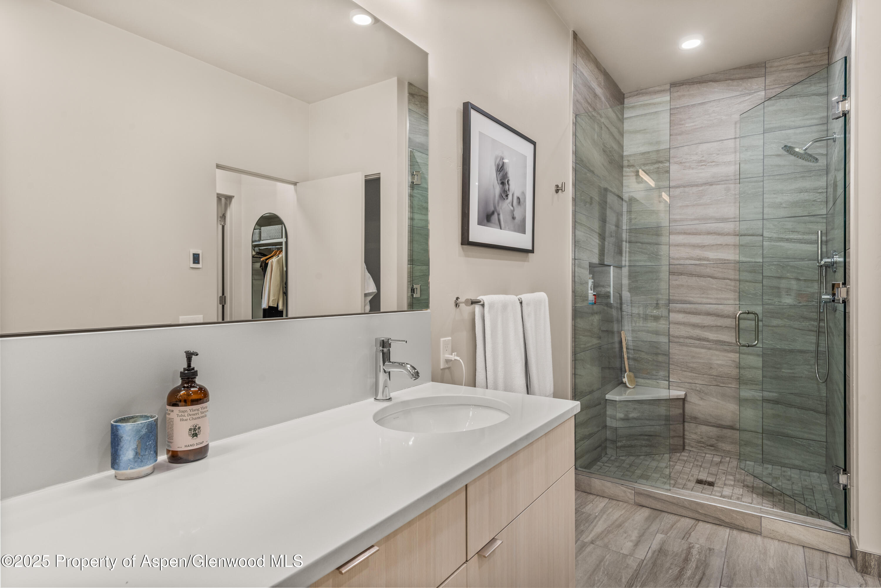 113 Valley Court Basalt CO 81621