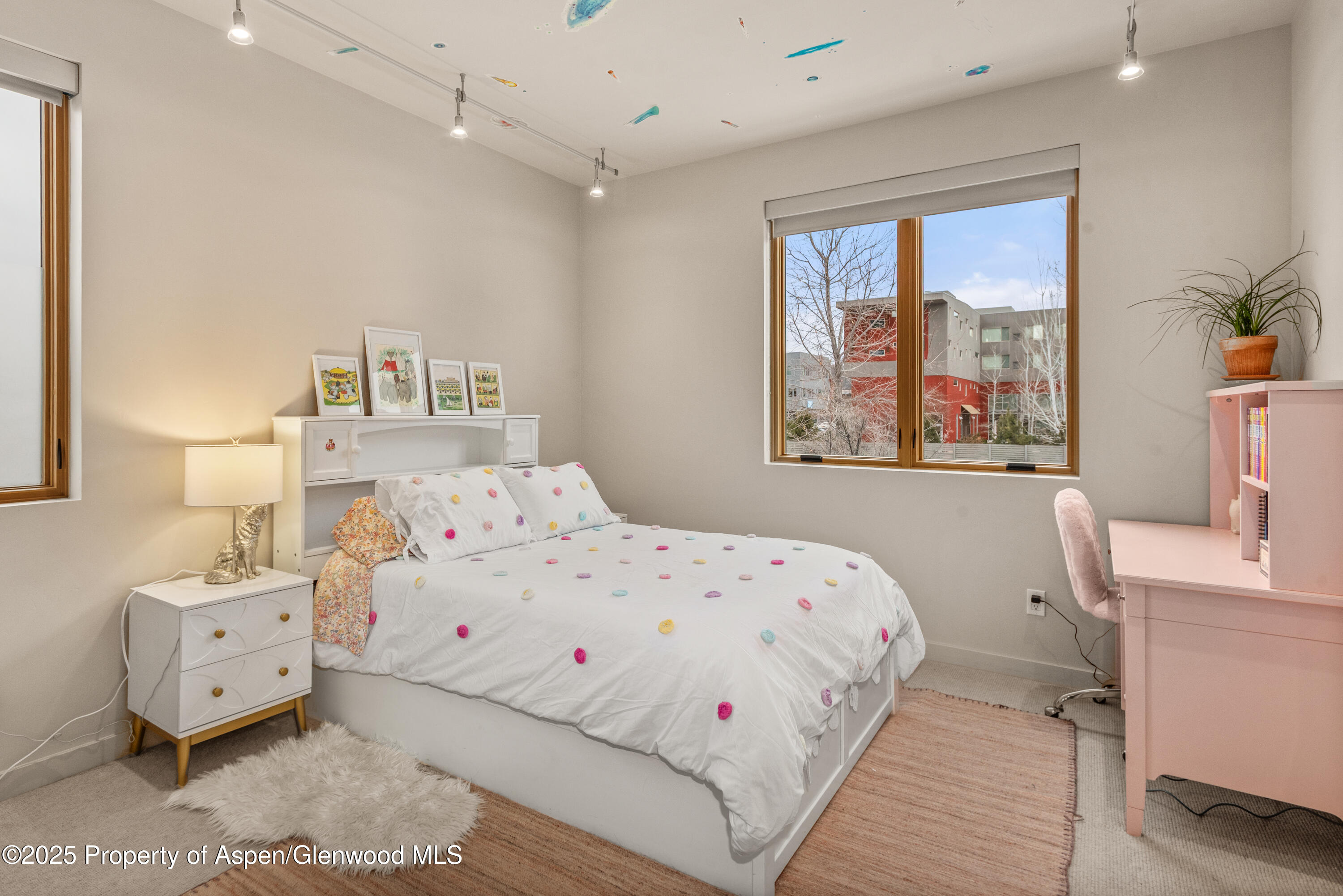 113 Valley Court Basalt CO 81621