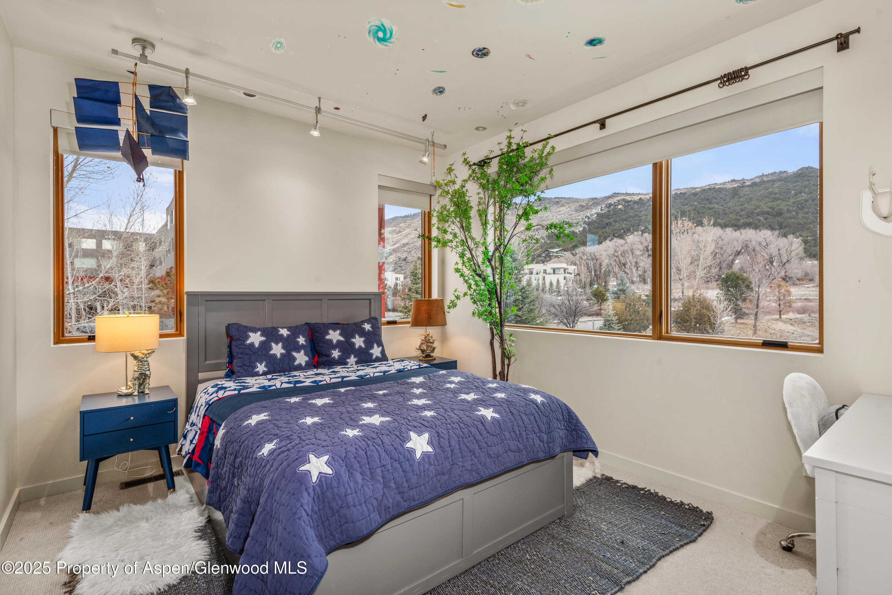 113 Valley Court Basalt CO 81621