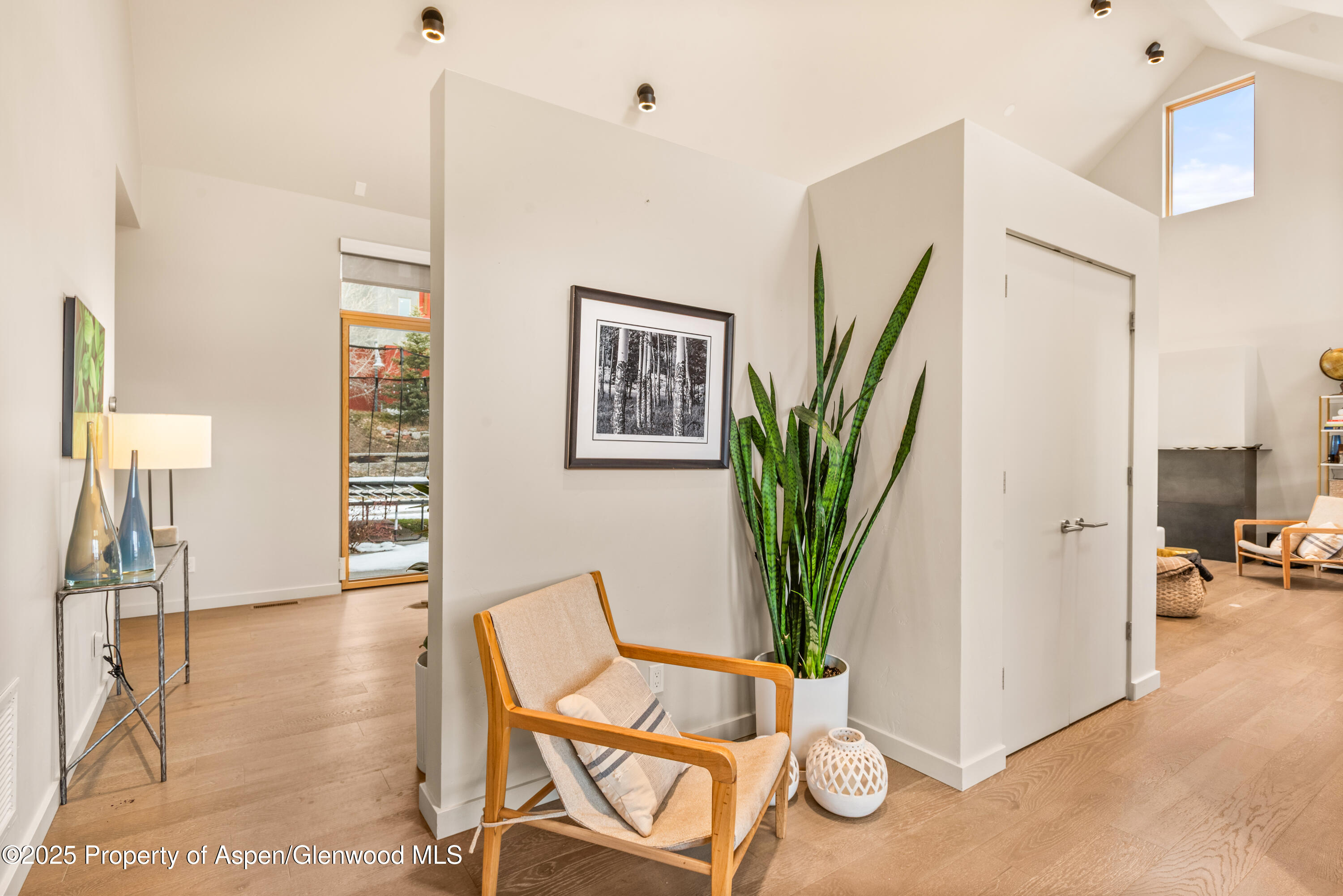 113 Valley Court Basalt CO 81621