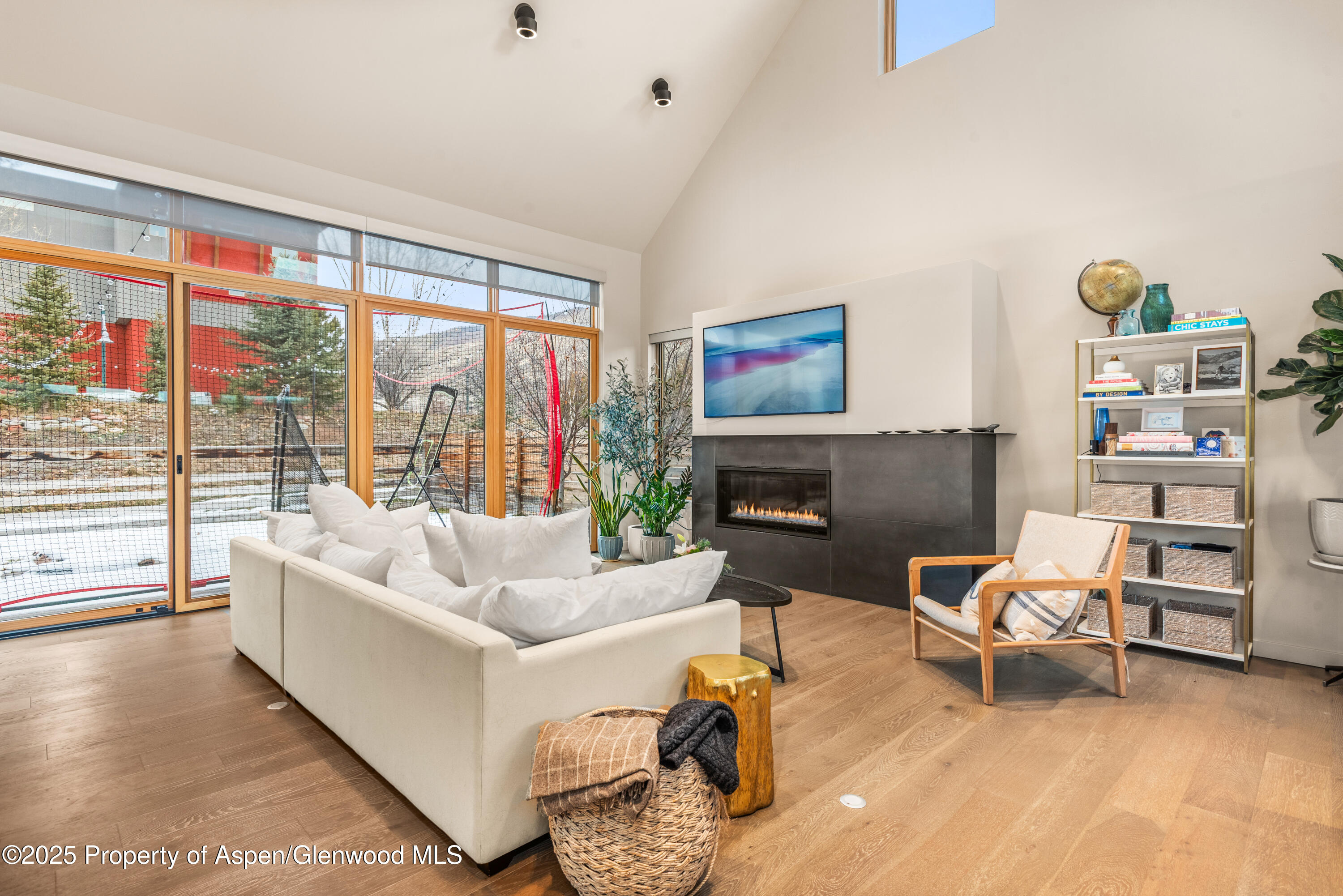 113 Valley Court Basalt CO 81621