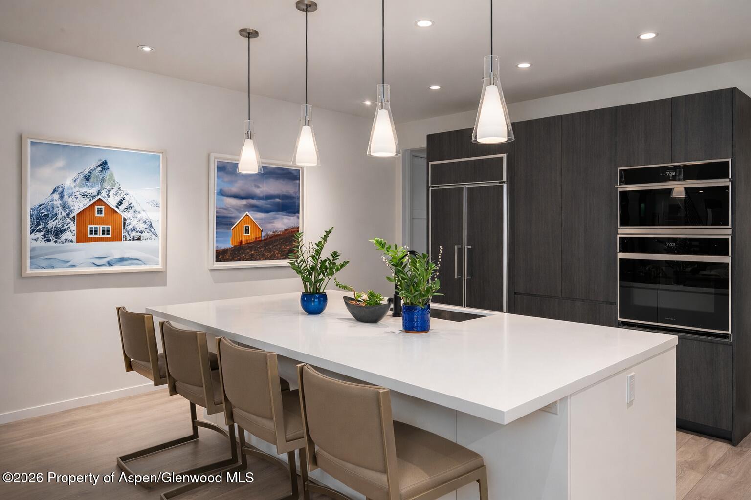 219 Juniper Court Basalt CO 81621