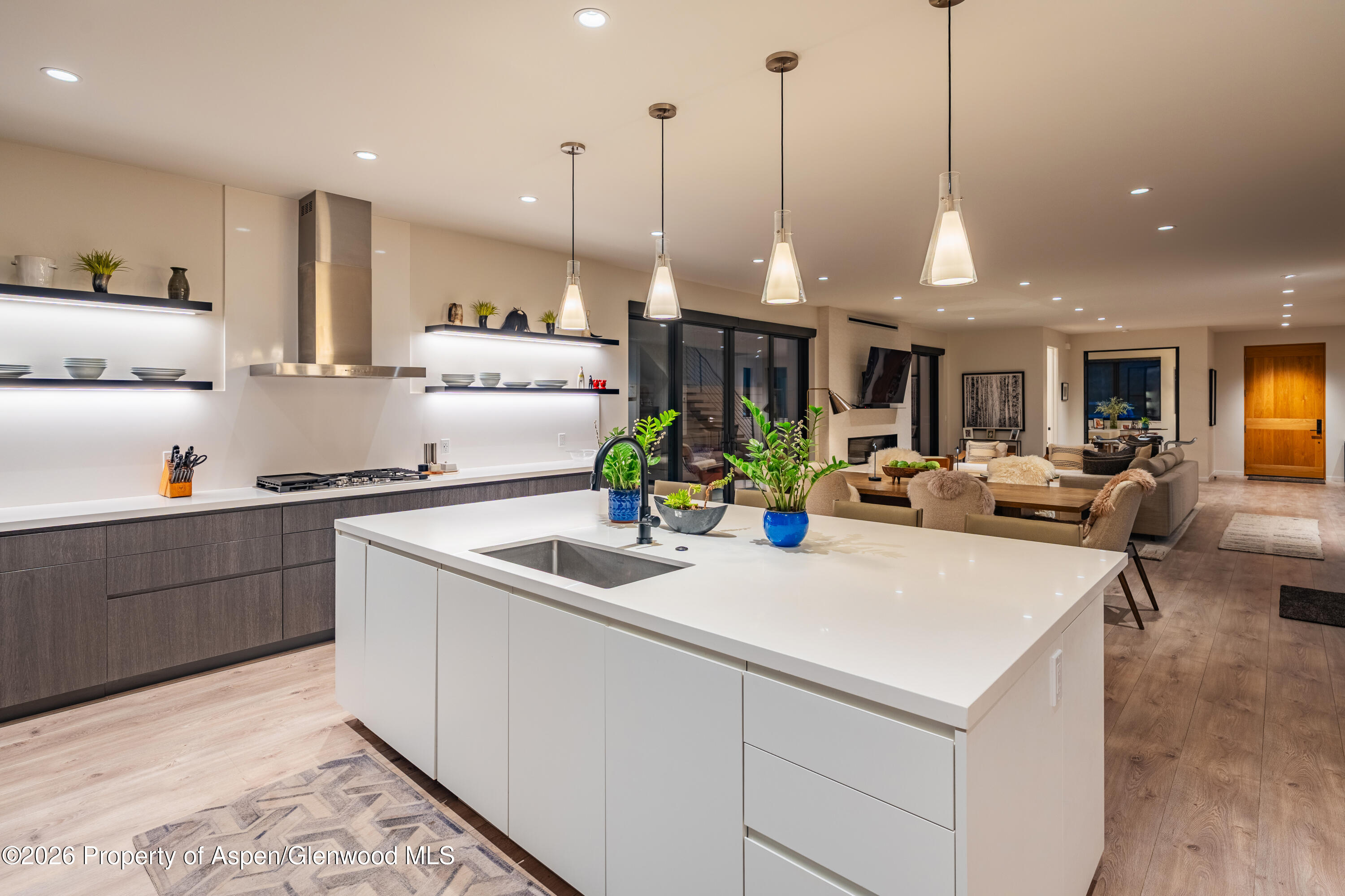 219 Juniper Court Basalt CO 81621