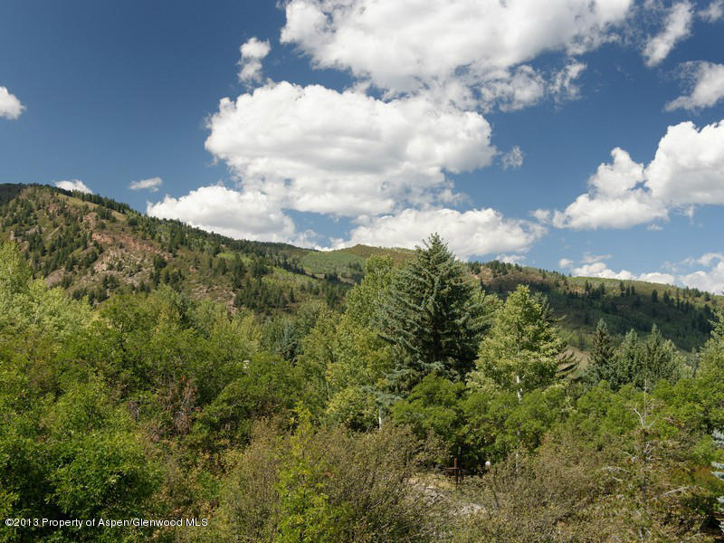 600 Meadowood Drive Aspen CO 81611