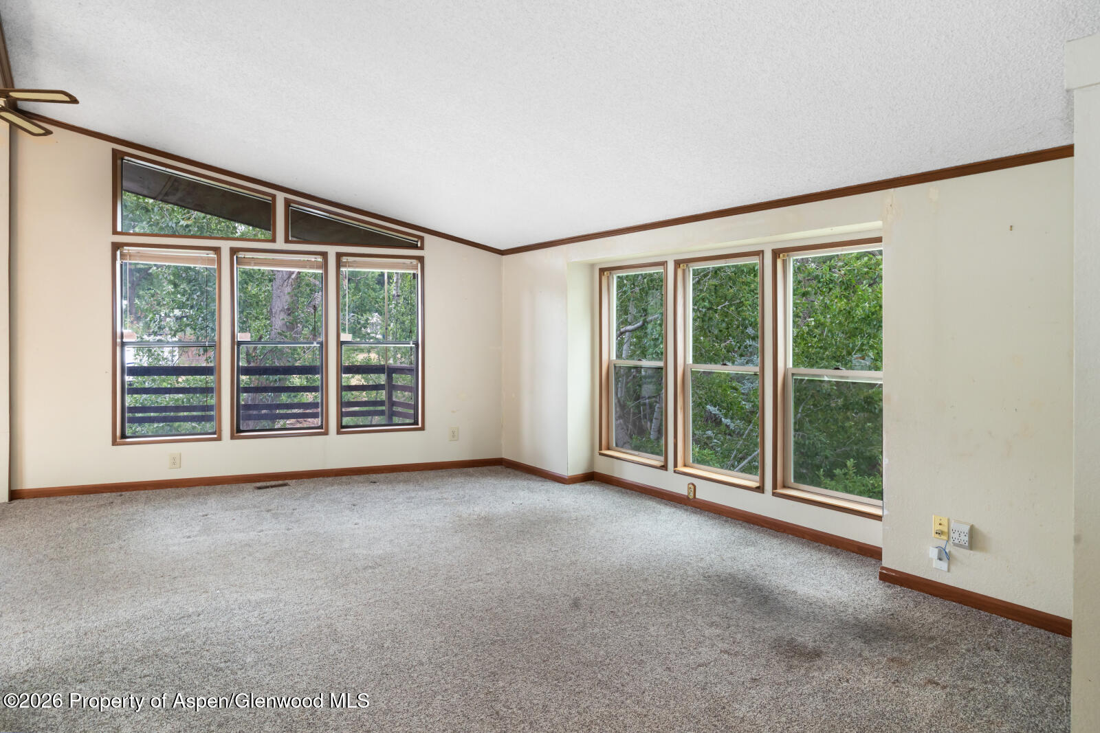 440 Apple Drive New Castle CO 81647