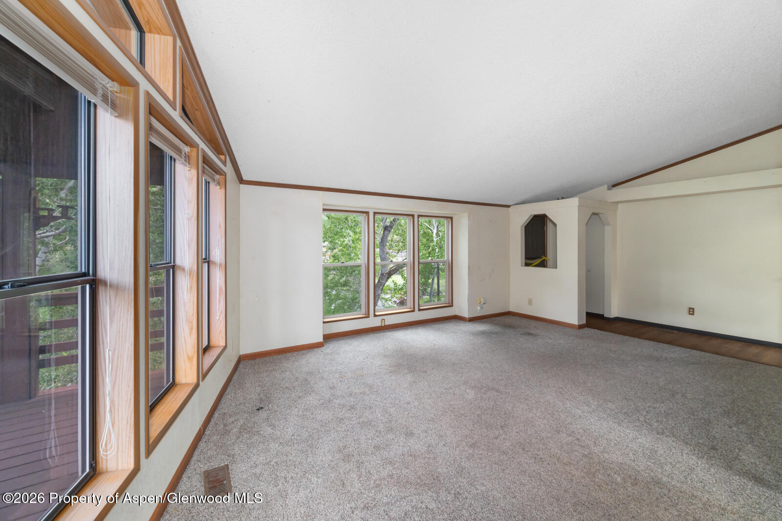 440 Apple Drive New Castle CO 81647