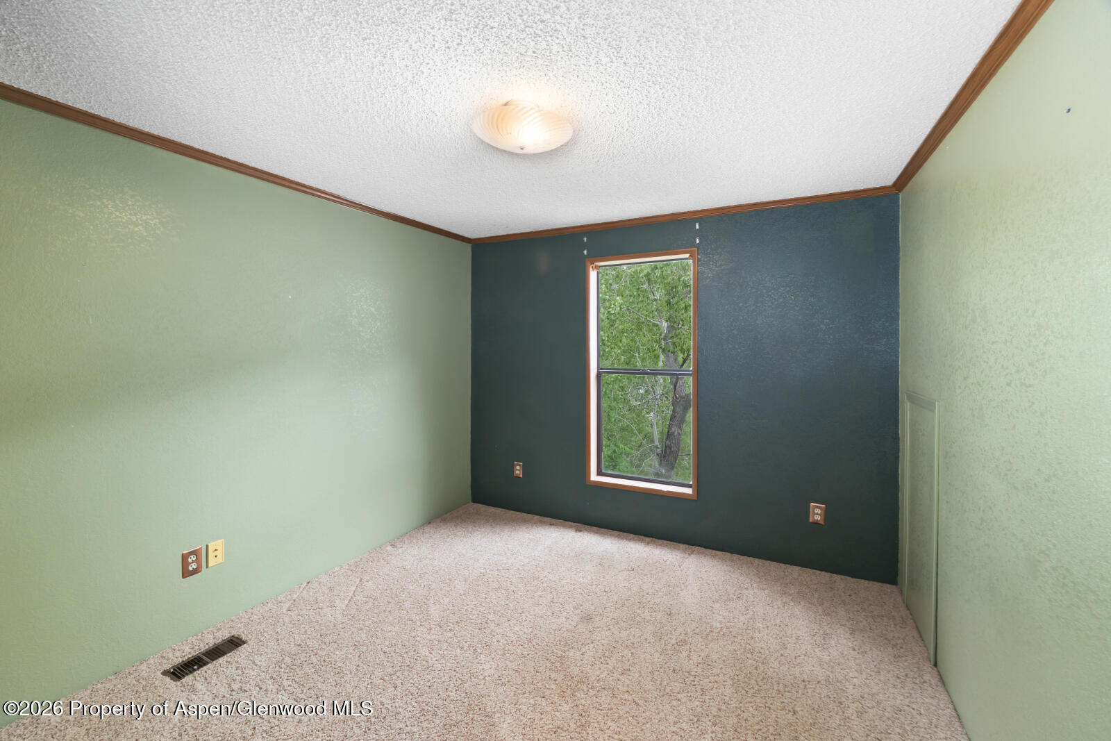 440 Apple Drive New Castle CO 81647